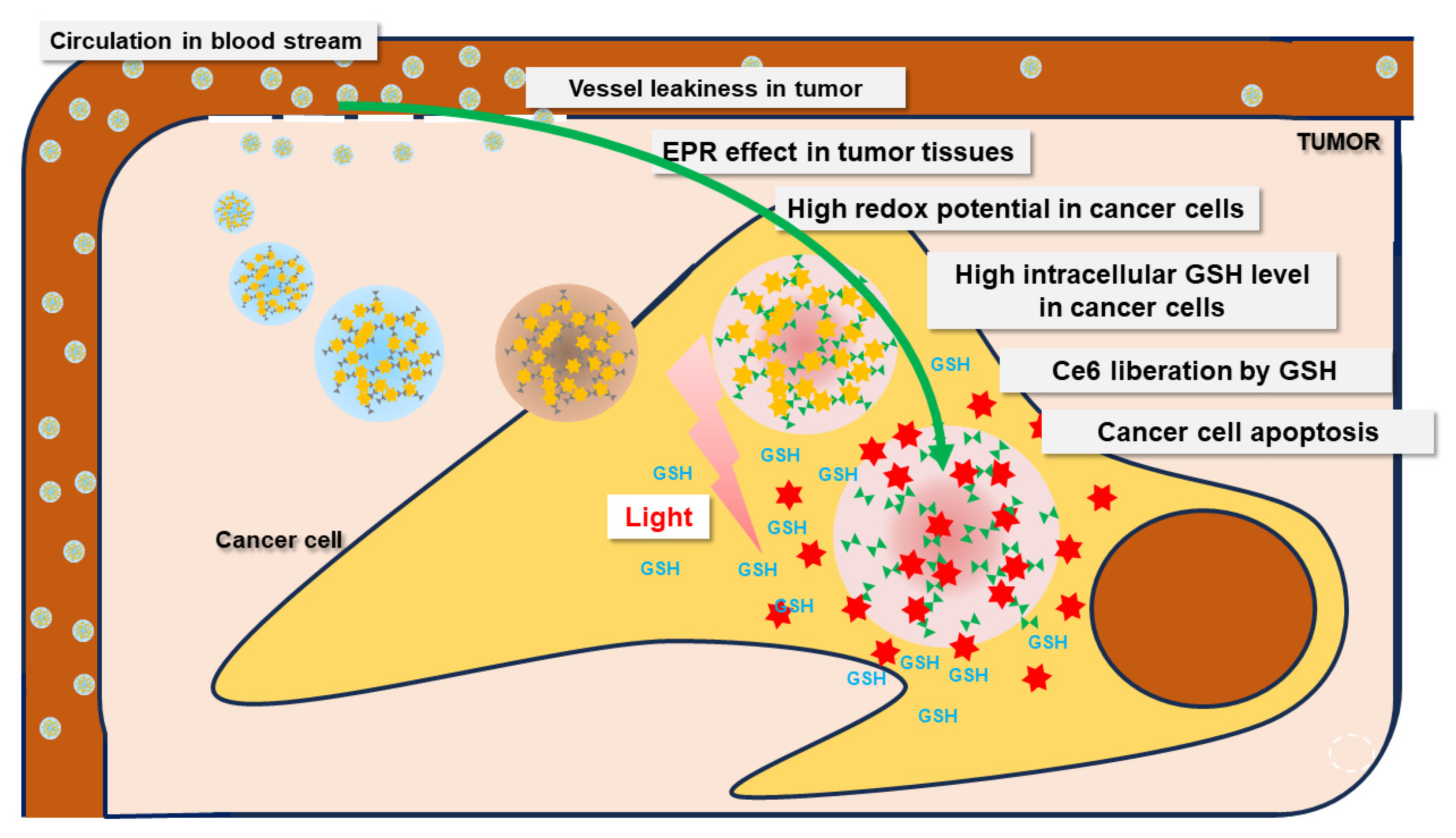 Molecules 28 07398 g010
