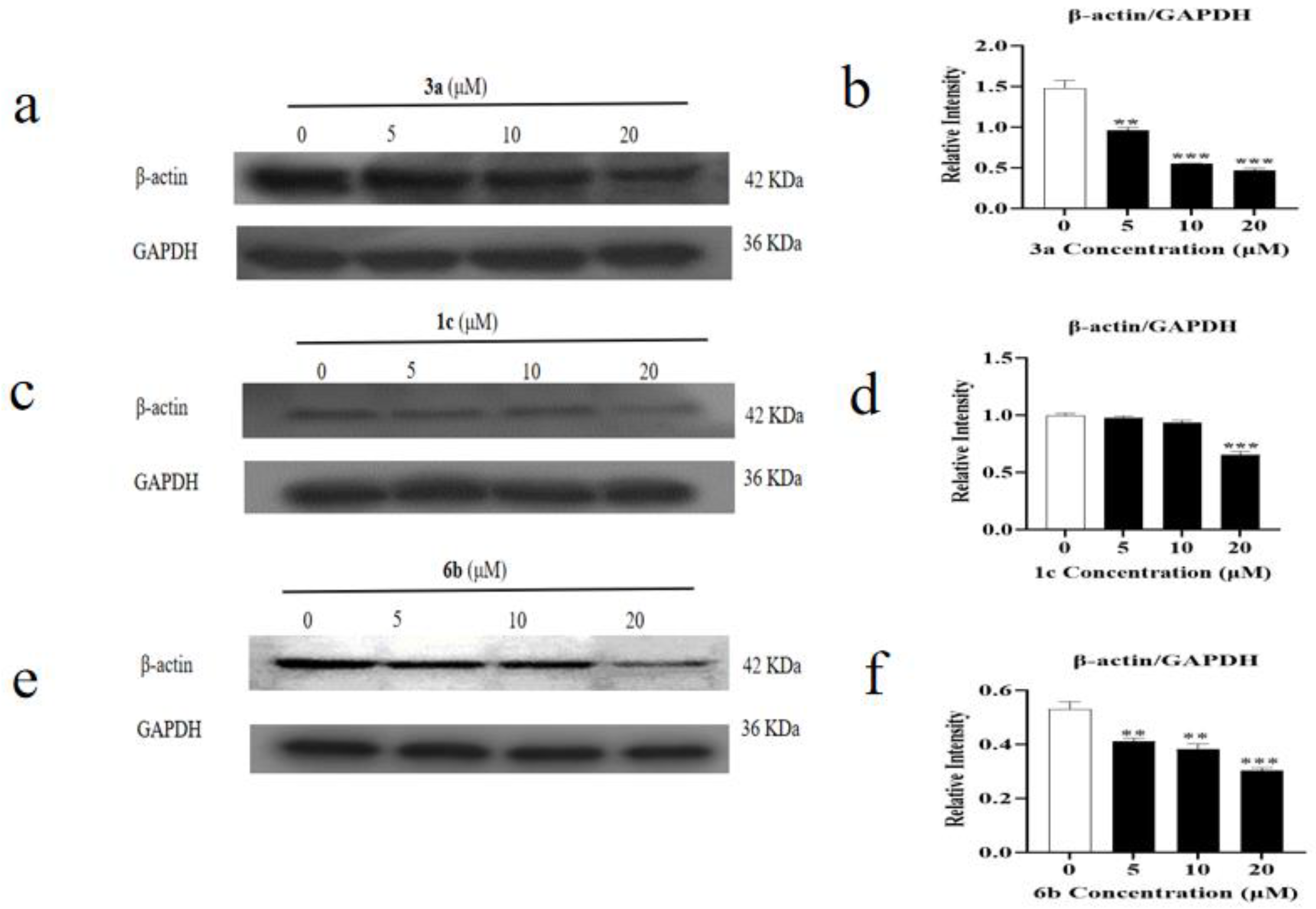 Molecules 28 07400 g006