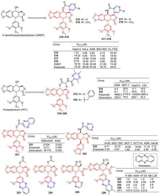 A Cell Type Selective YM155 Prodrug Targets Receptor-Interacting Protein  Kinase 2 to Induce Brain Cancer Cell Death