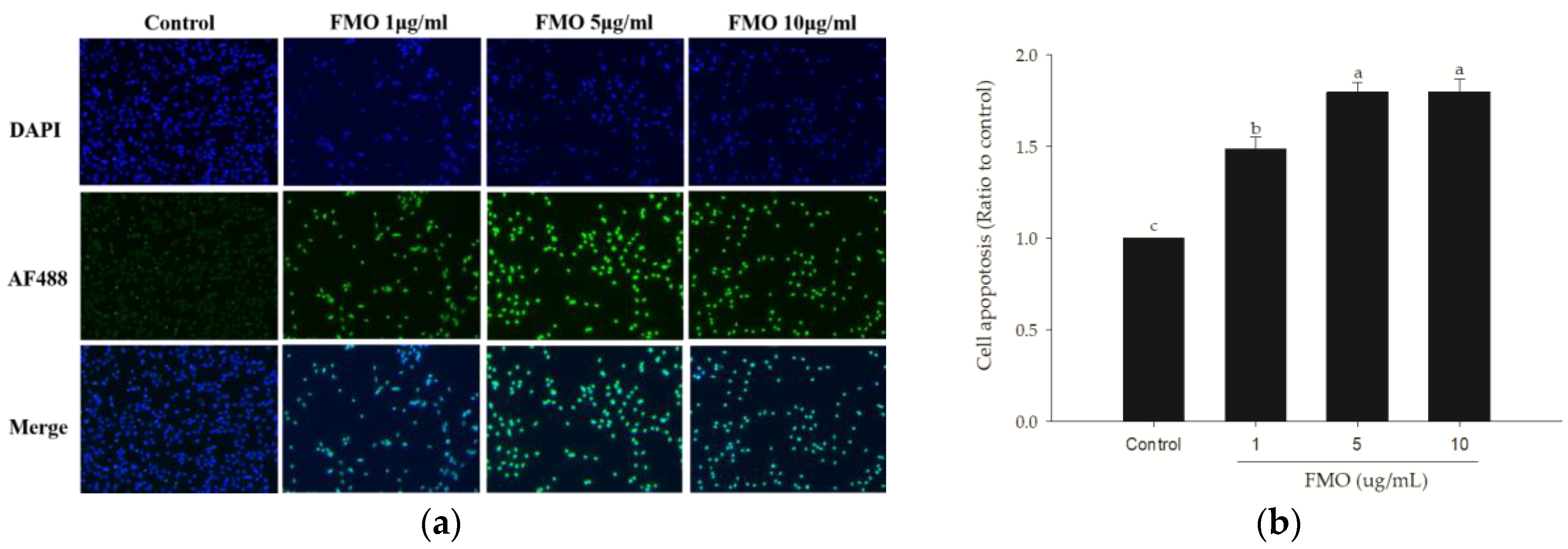 Molecules 28 07445 g002