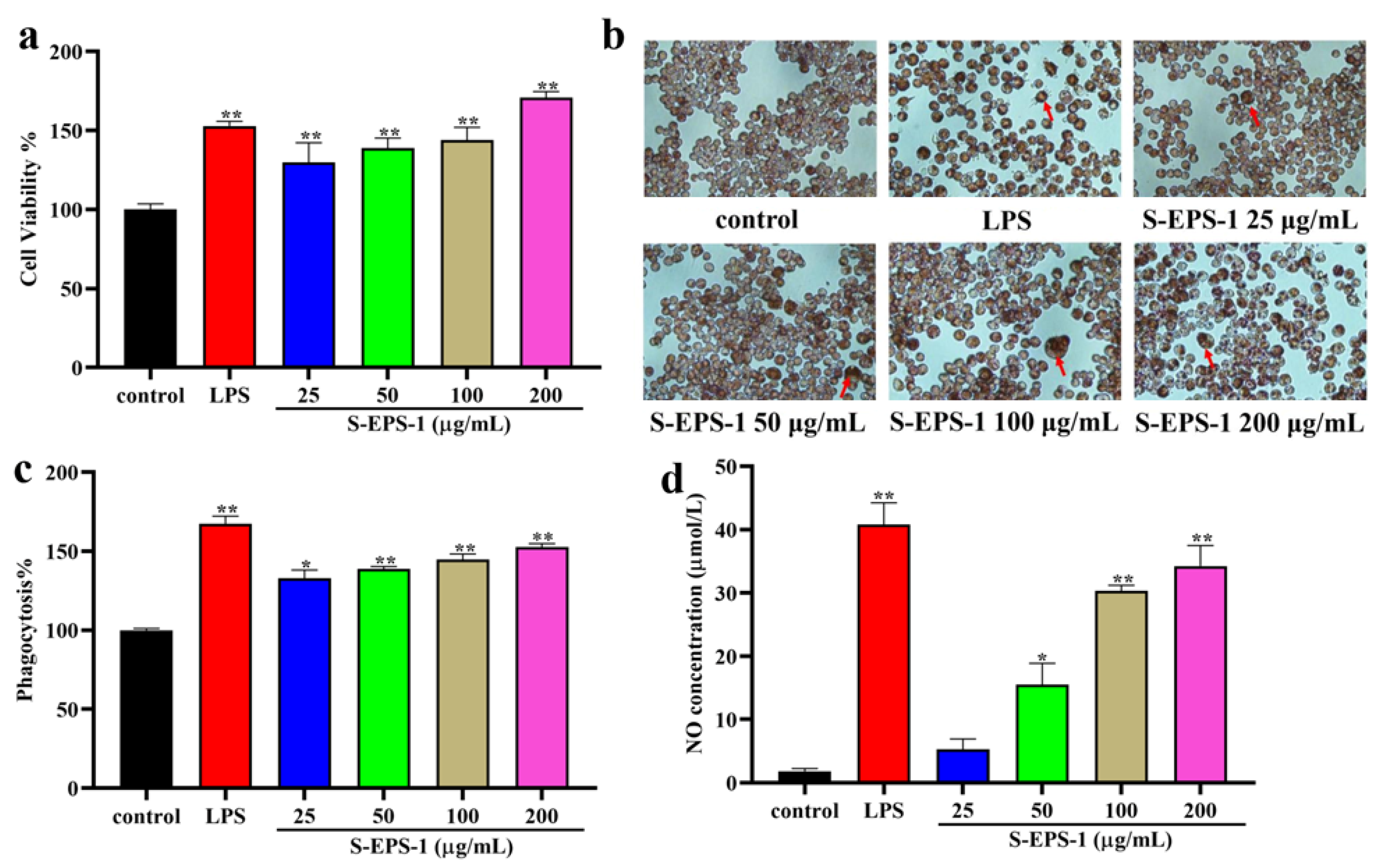 Molecules 28 07448 g008