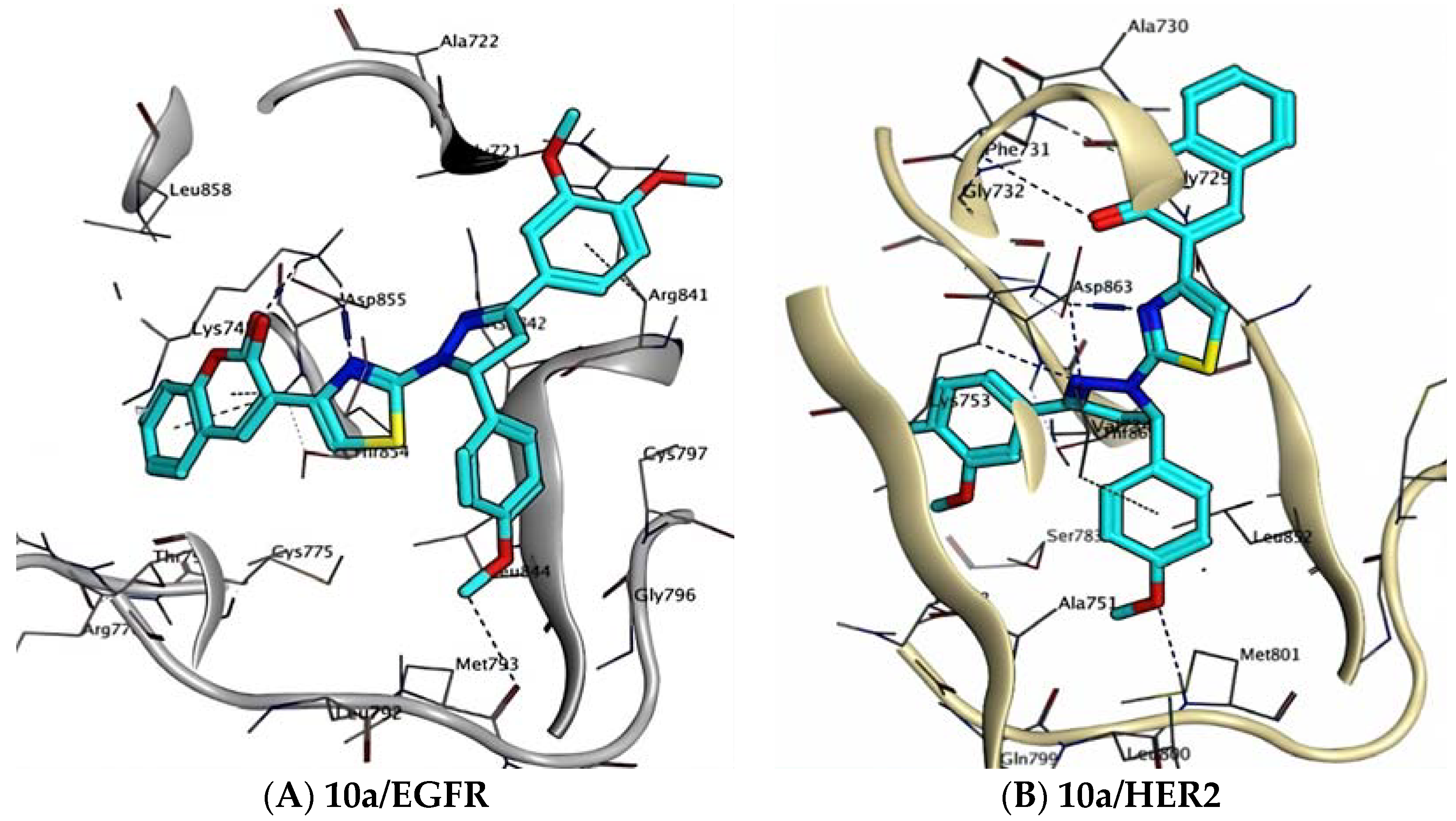Molecules 28 07455 g007