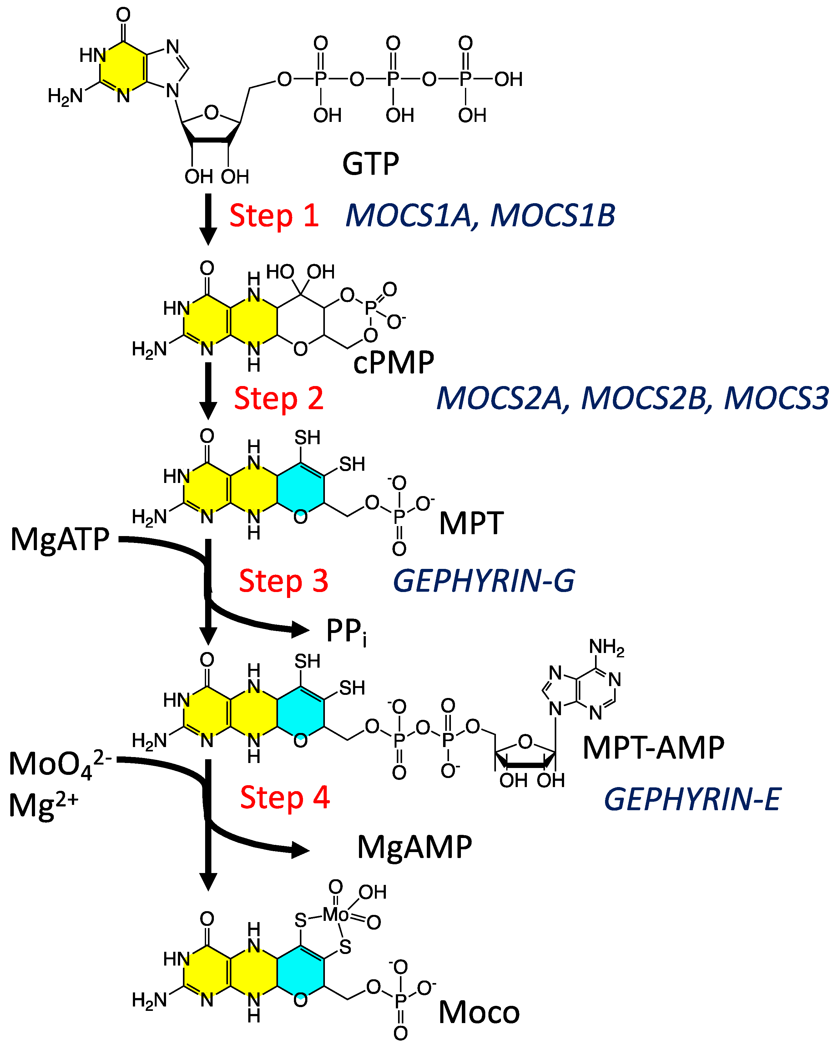 Molecules 28 07456 g001 Molecules 28 07456 g001