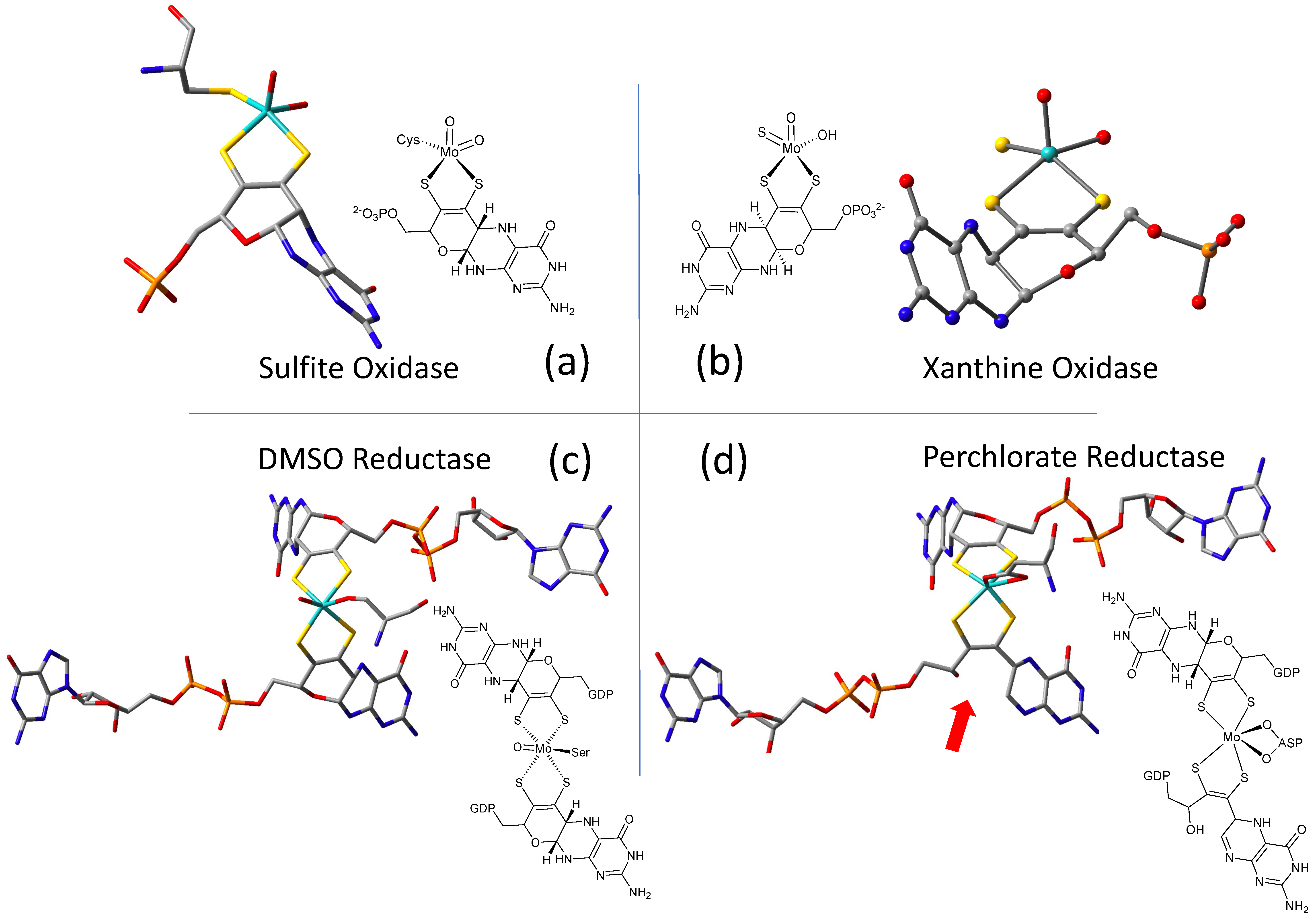 Molecules 28 07456 g002 Molecules 28 07456 g002