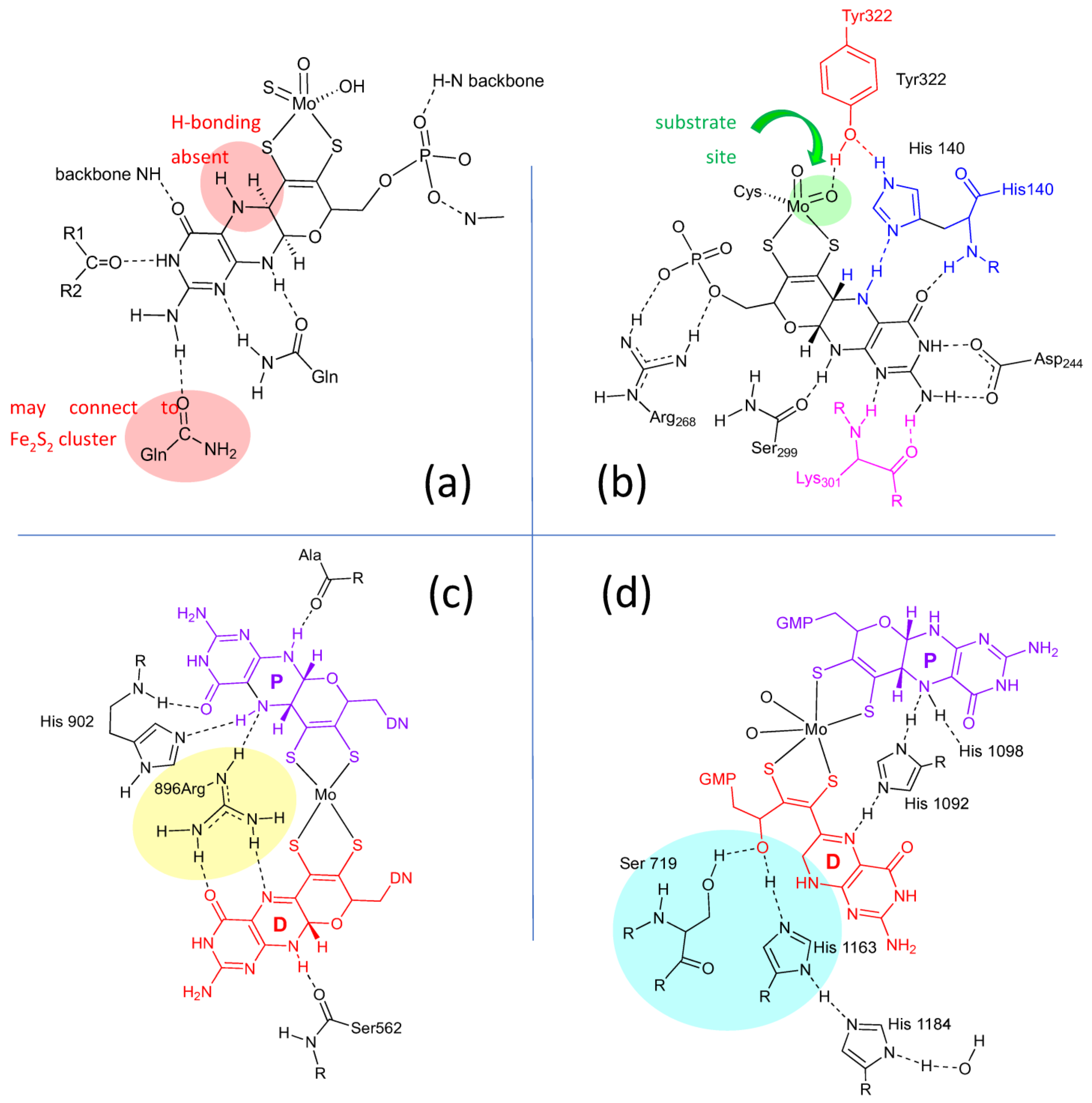 Molecules 28 07456 g004 Molecules 28 07456 g004