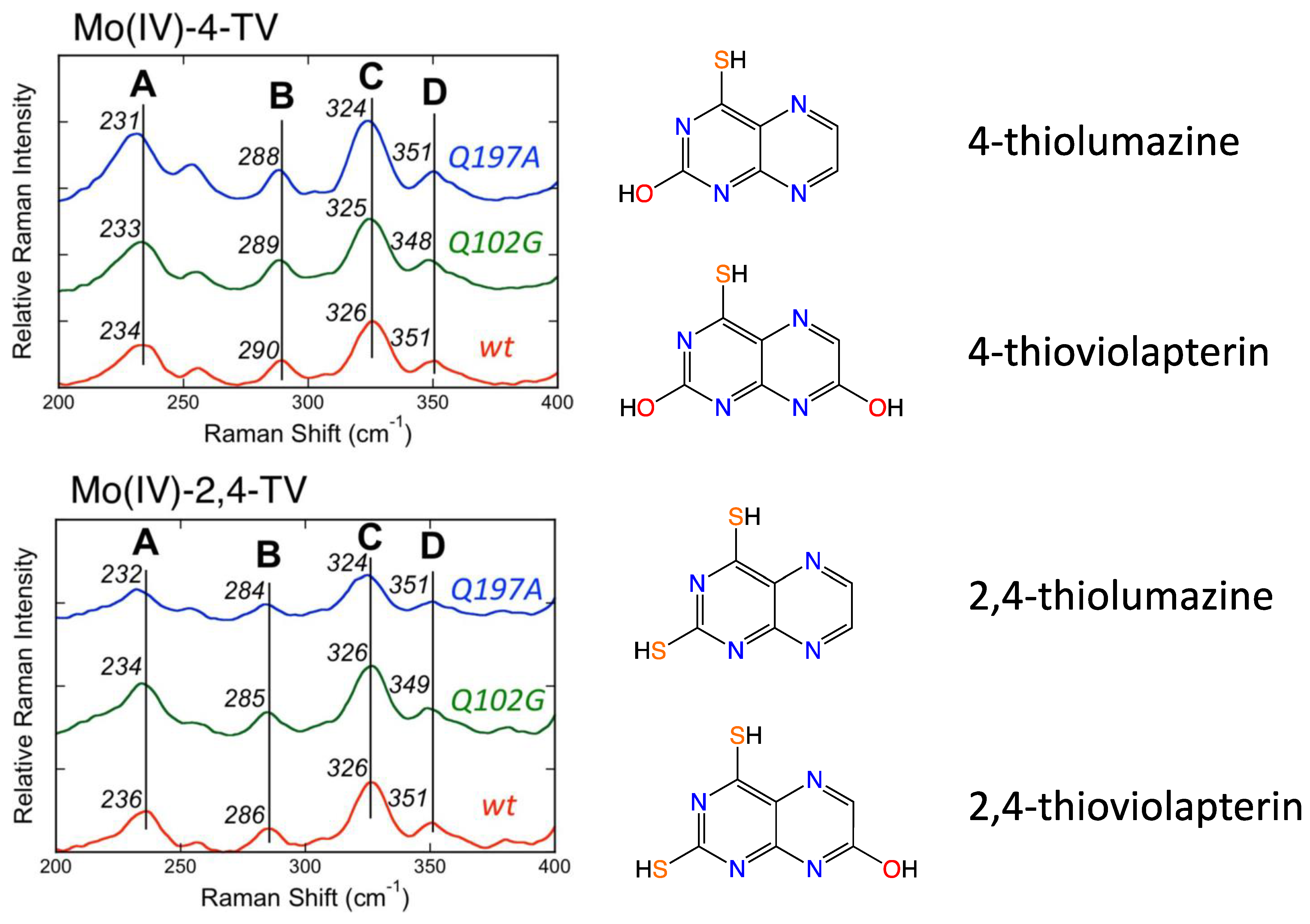 Molecules 28 07456 g005 Molecules 28 07456 g005