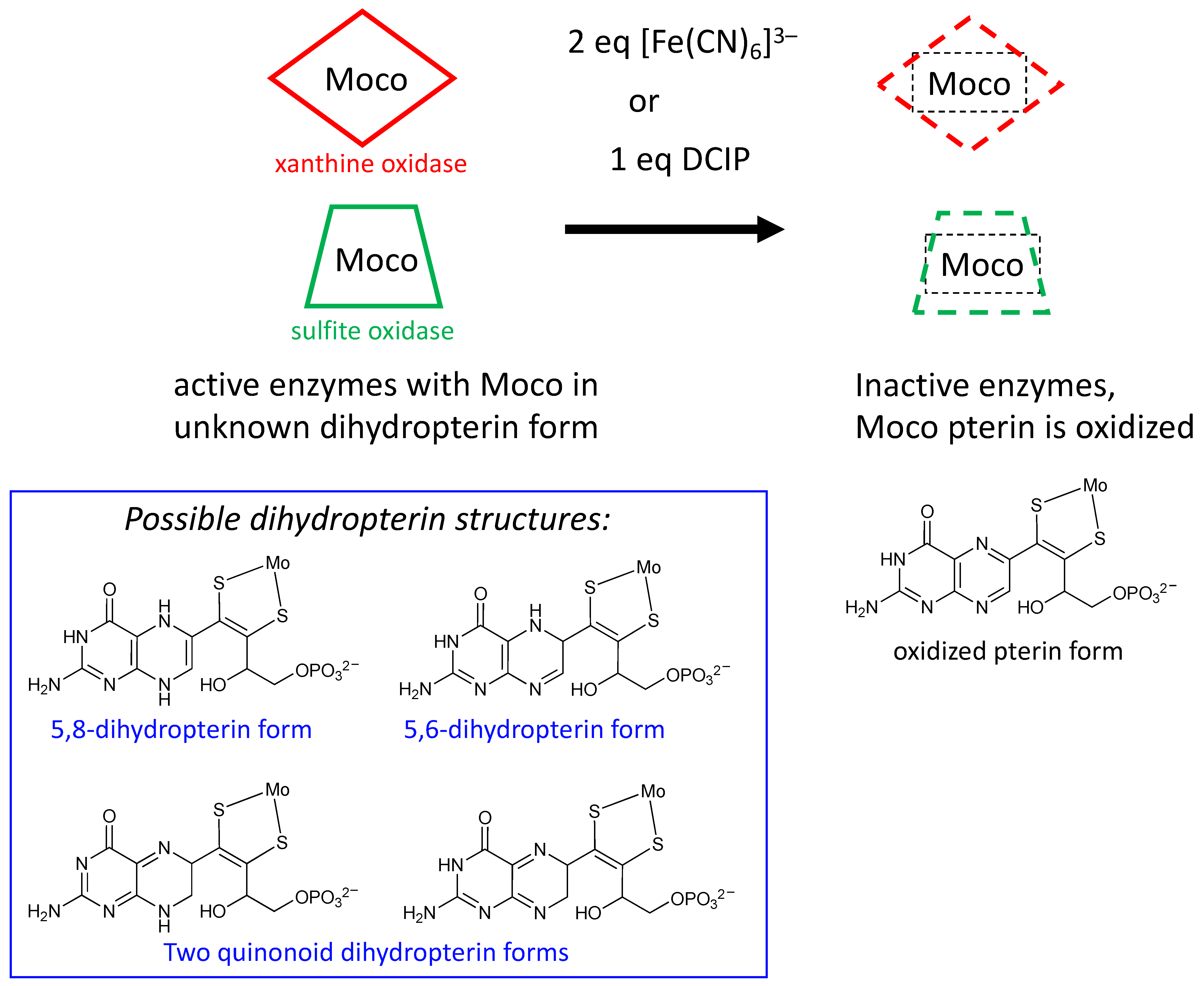 Molecules 28 07456 g006 Molecules 28 07456 g006