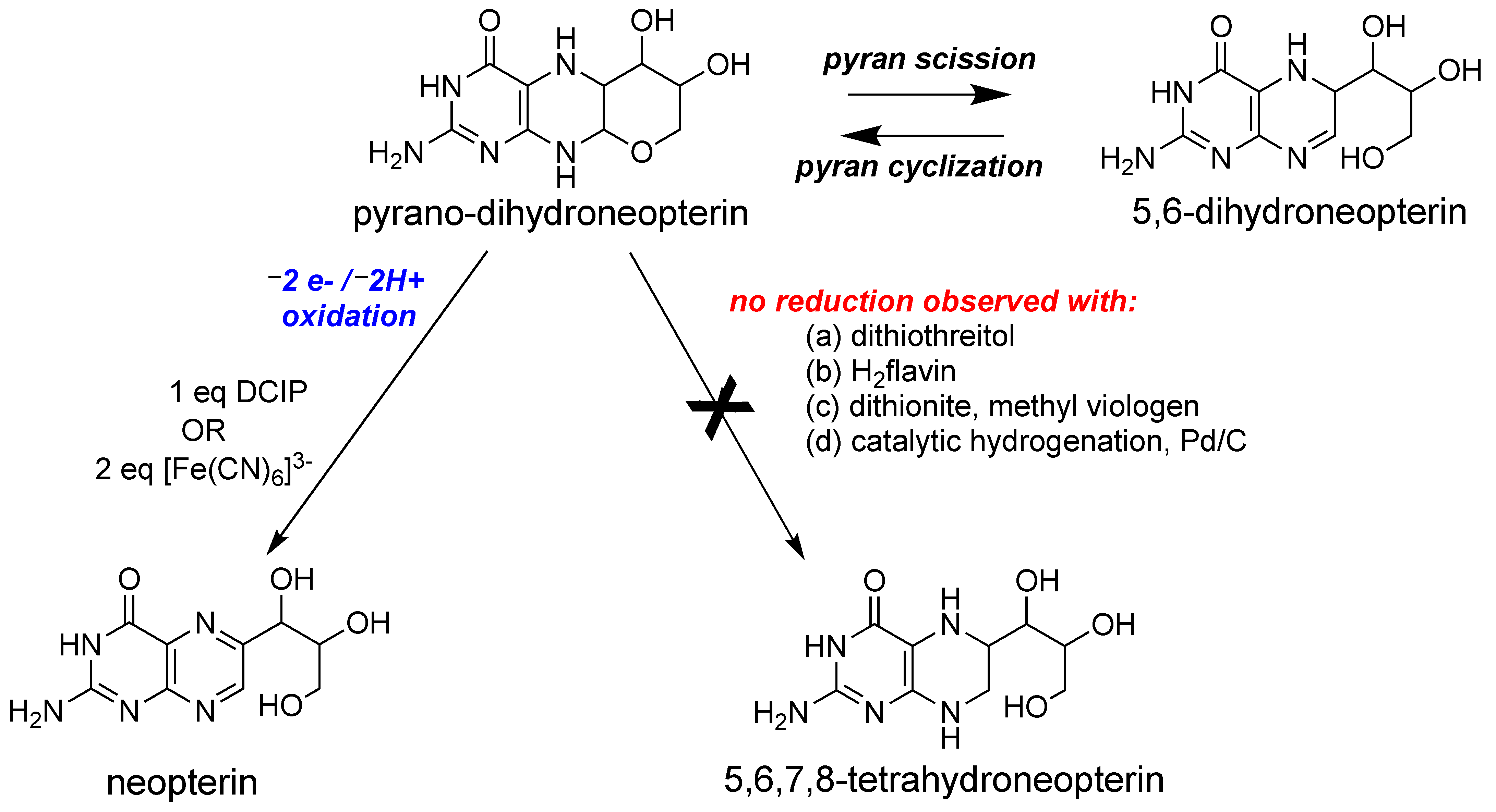Molecules 28 07456 g007 Molecules 28 07456 g007