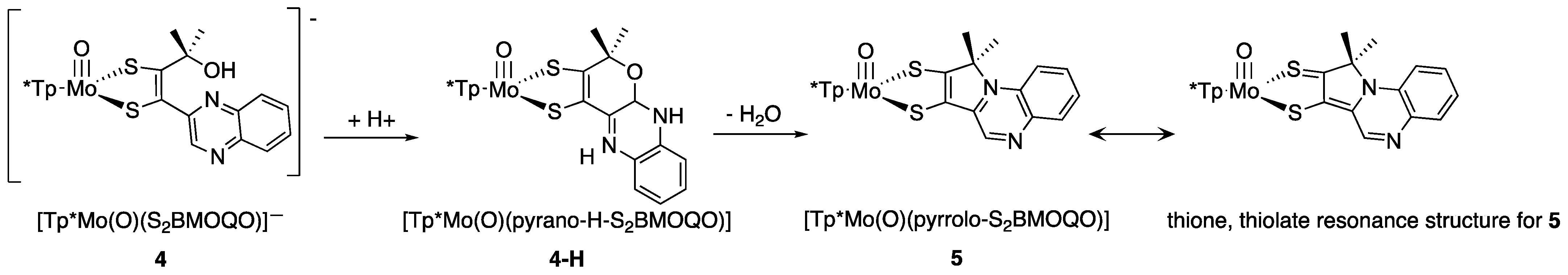 Molecules 28 07456 g021 Molecules 28 07456 g021