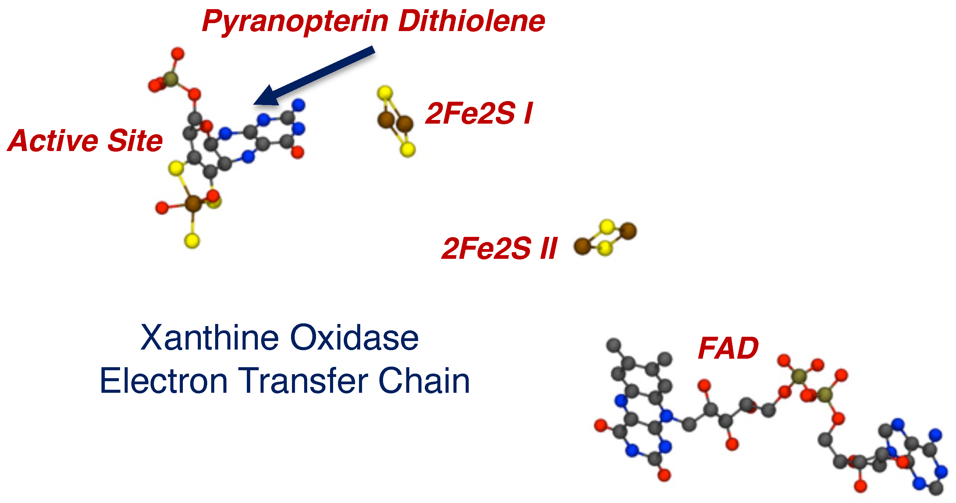 Molecules 28 07456 g023 Molecules 28 07456 g023
