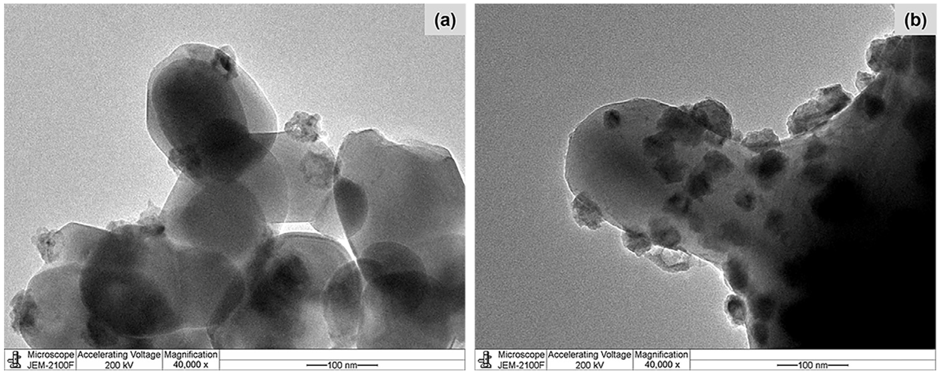 Molecules 28 07468 g002