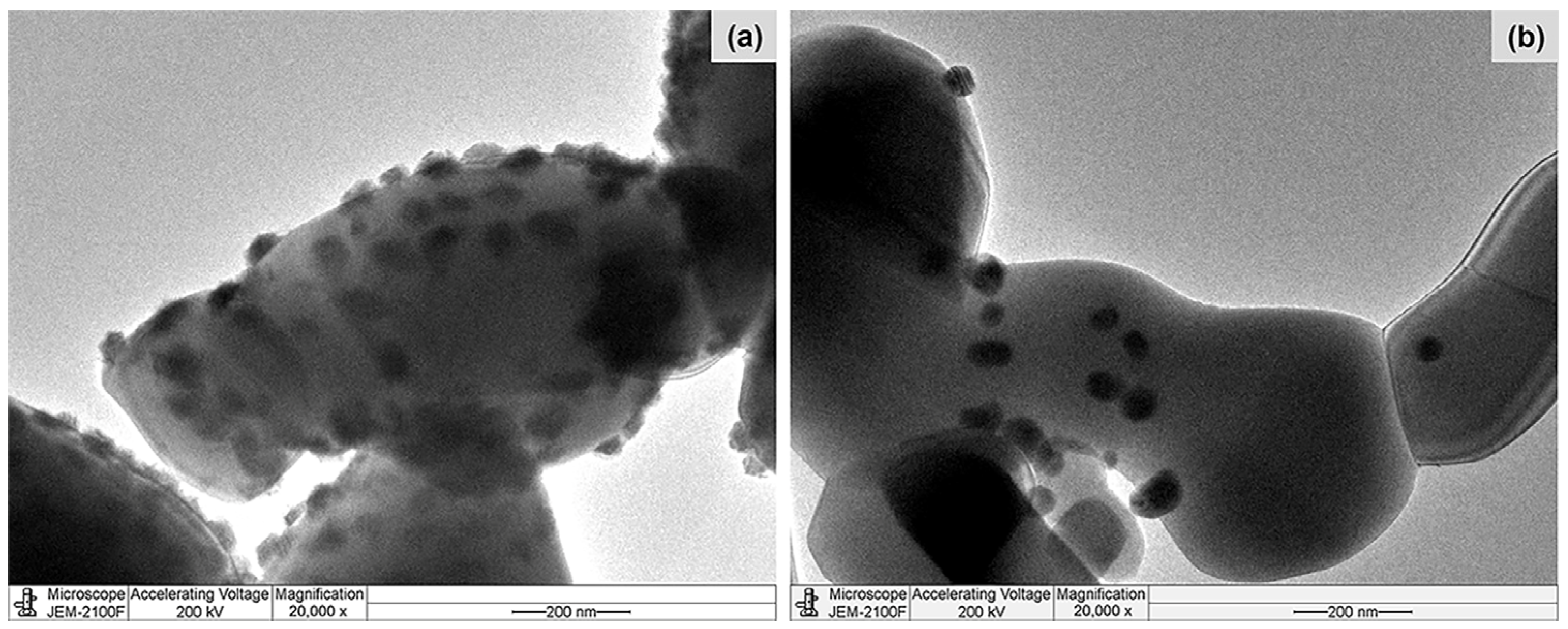 Molecules 28 07468 g009