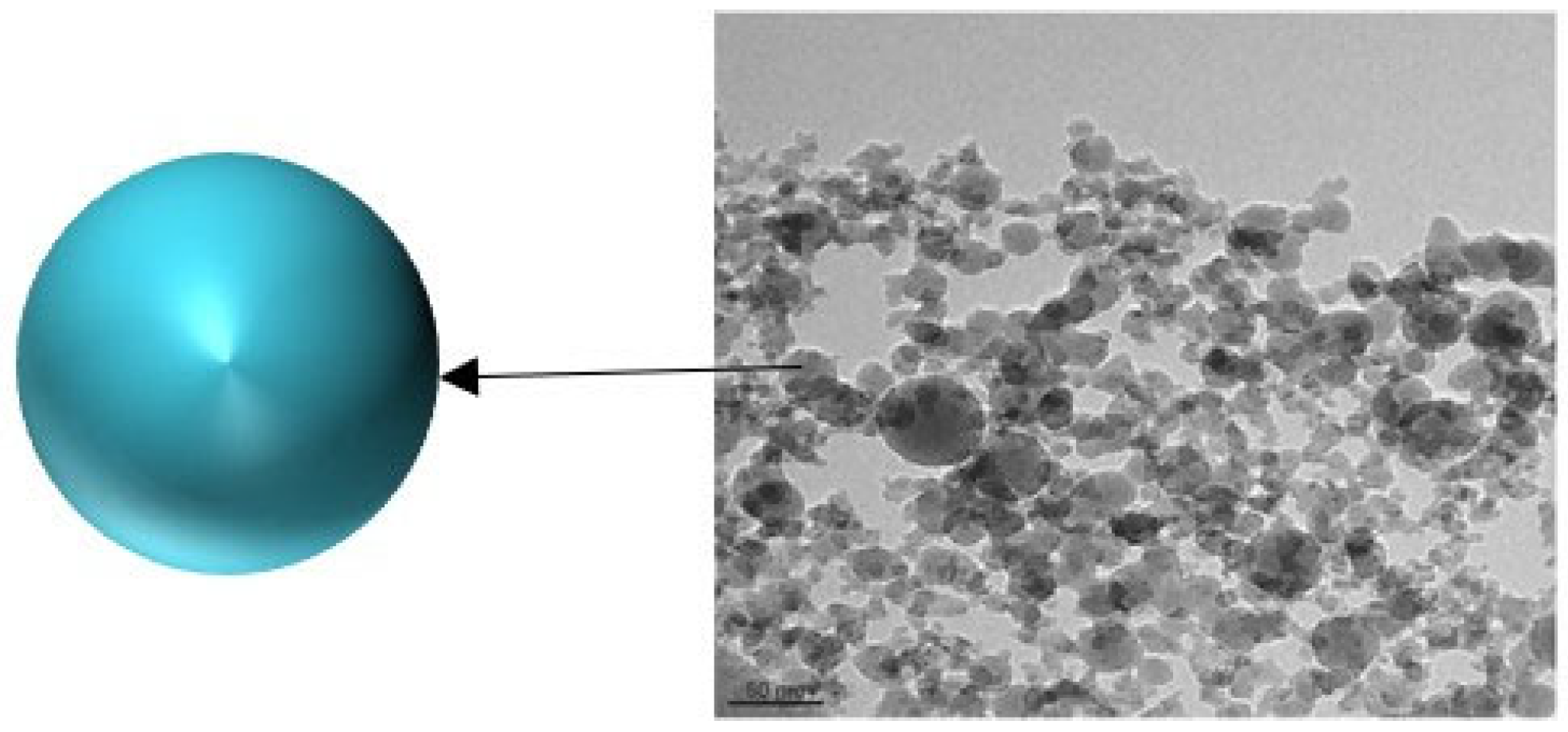 Molecules 28 07478 g002