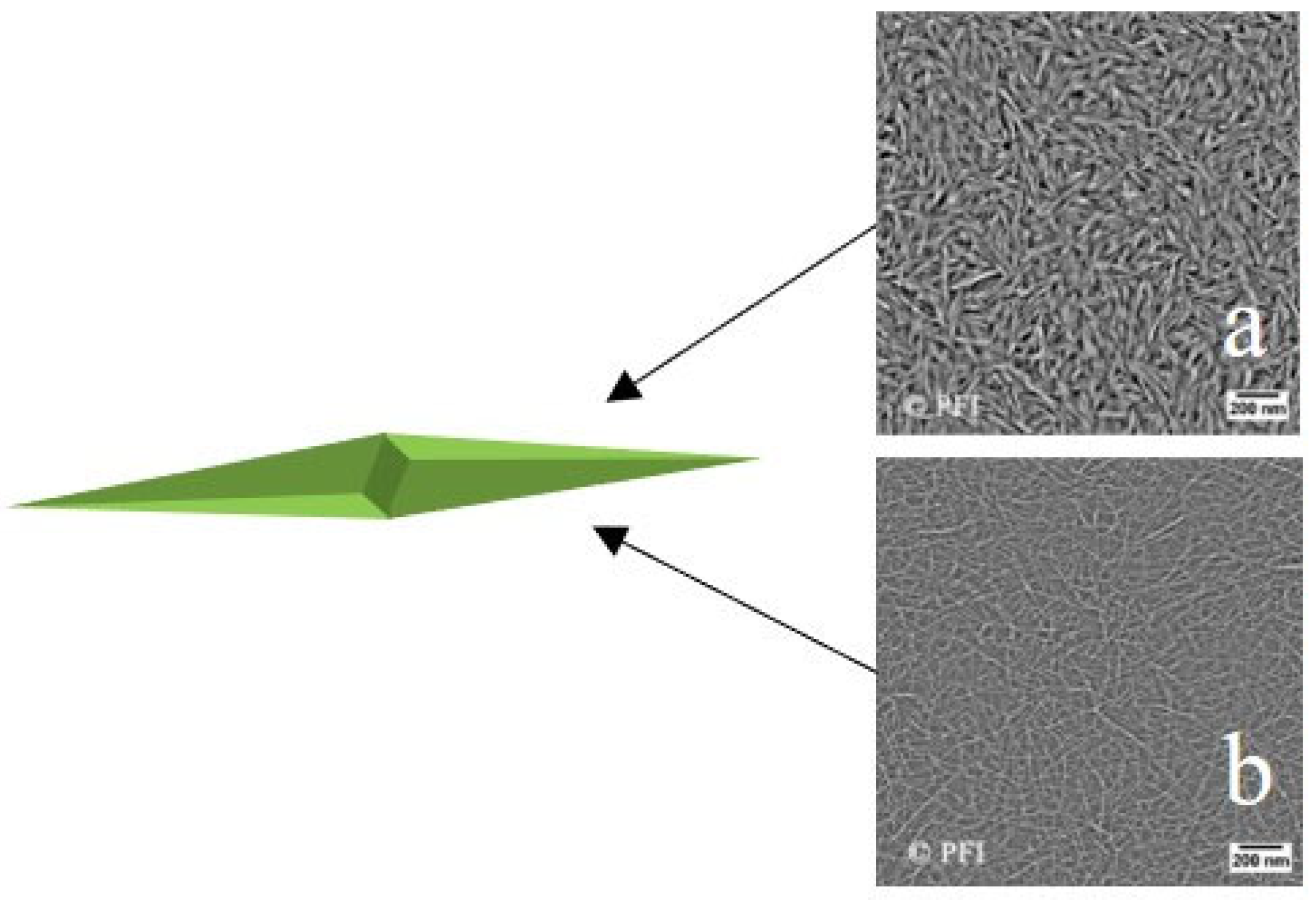 Molecules 28 07478 g003