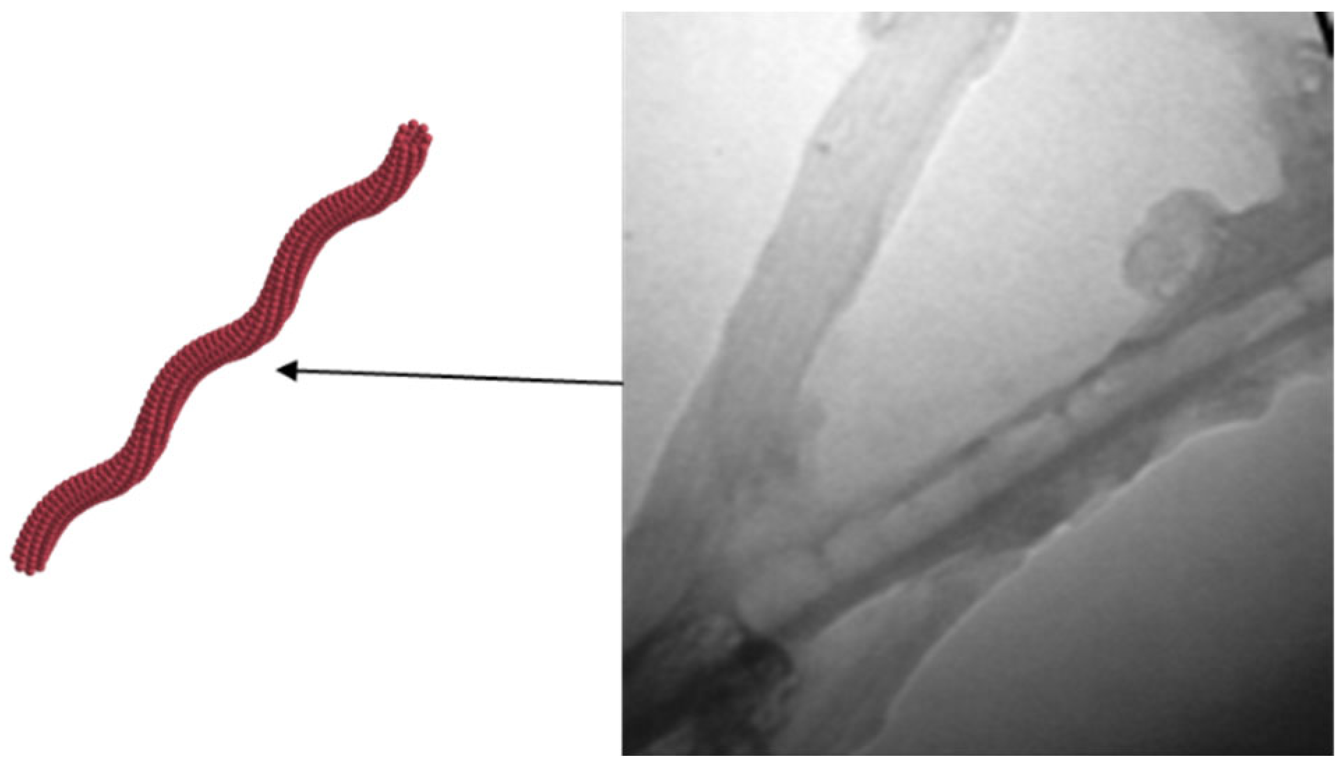 Molecules 28 07478 g004