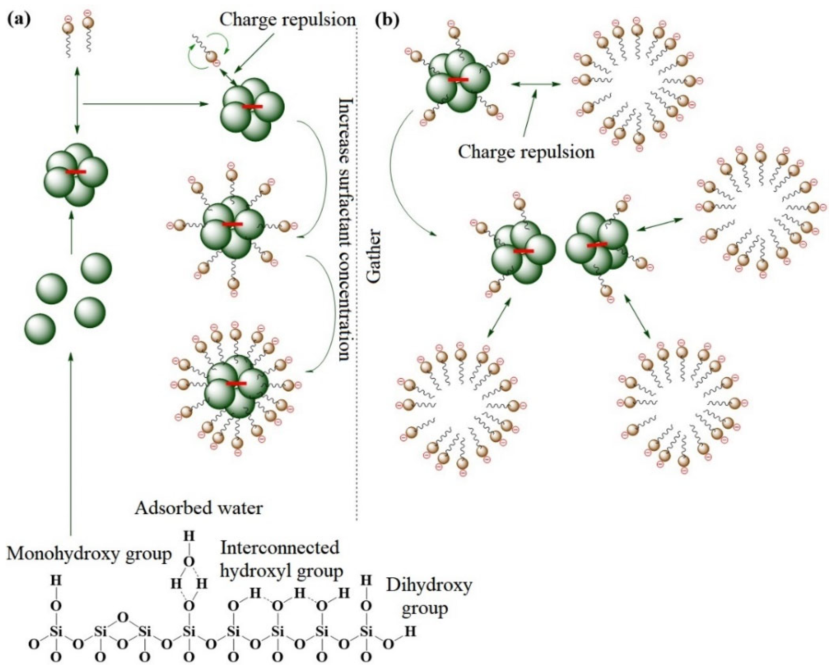 Molecules 28 07478 g005