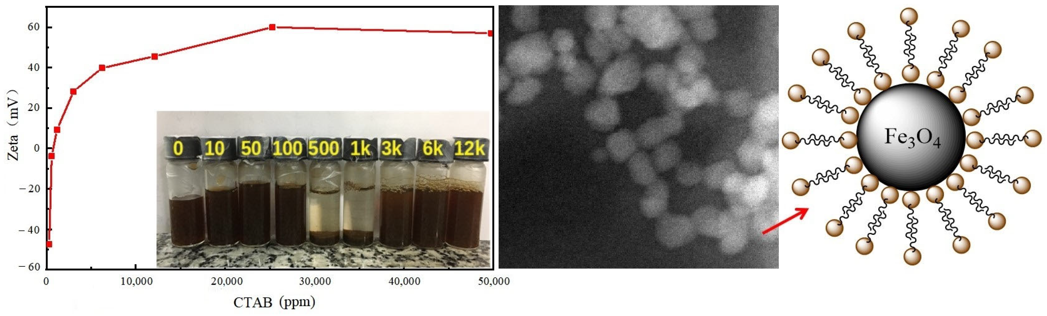 Molecules 28 07478 g006