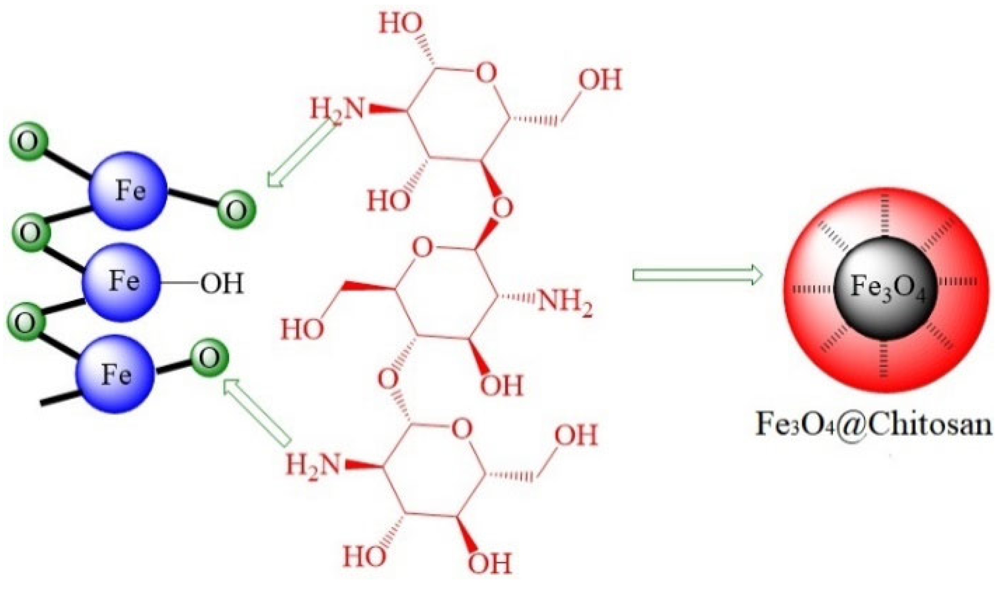 Molecules 28 07478 g007