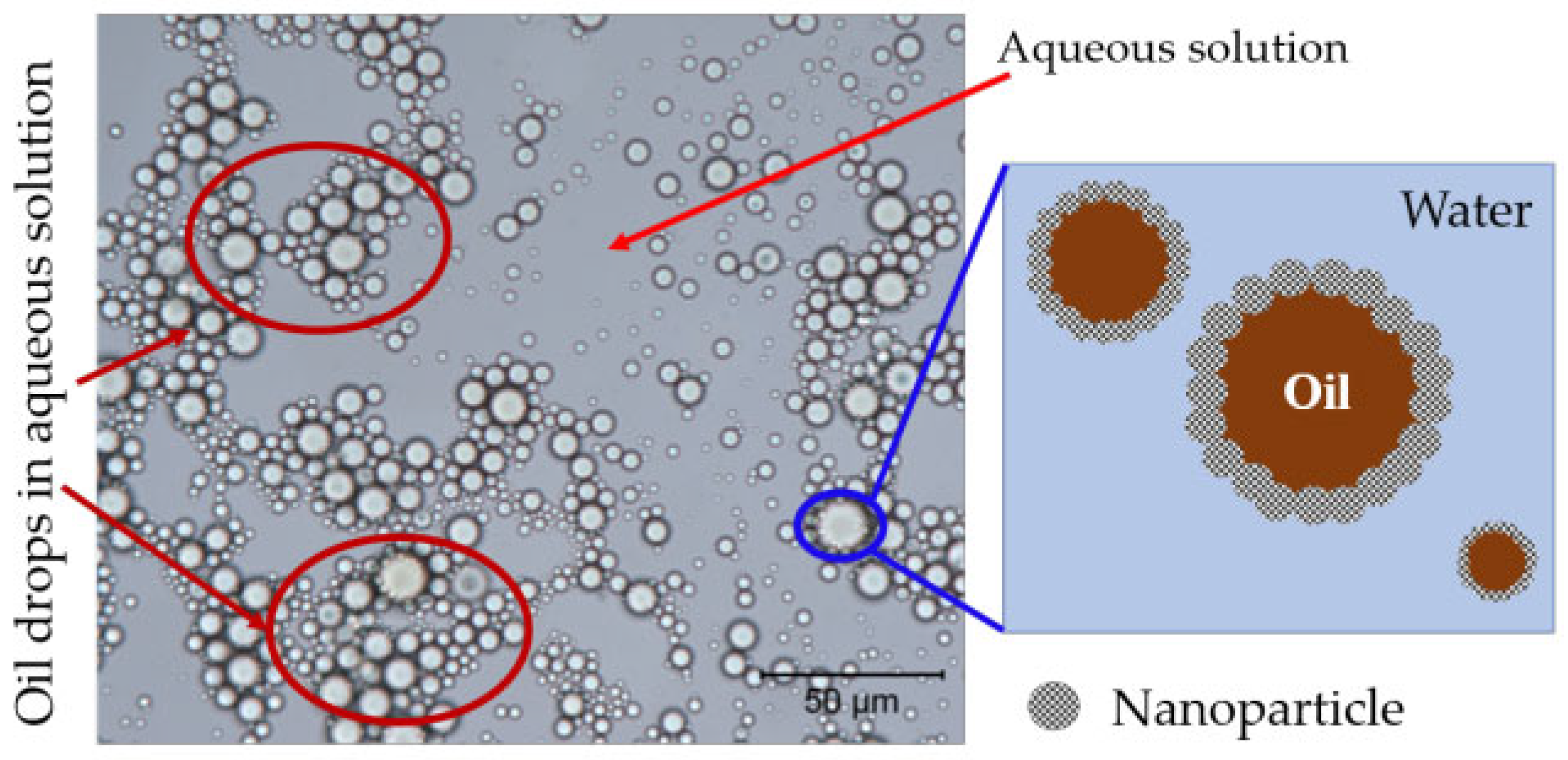 Molecules 28 07478 g015