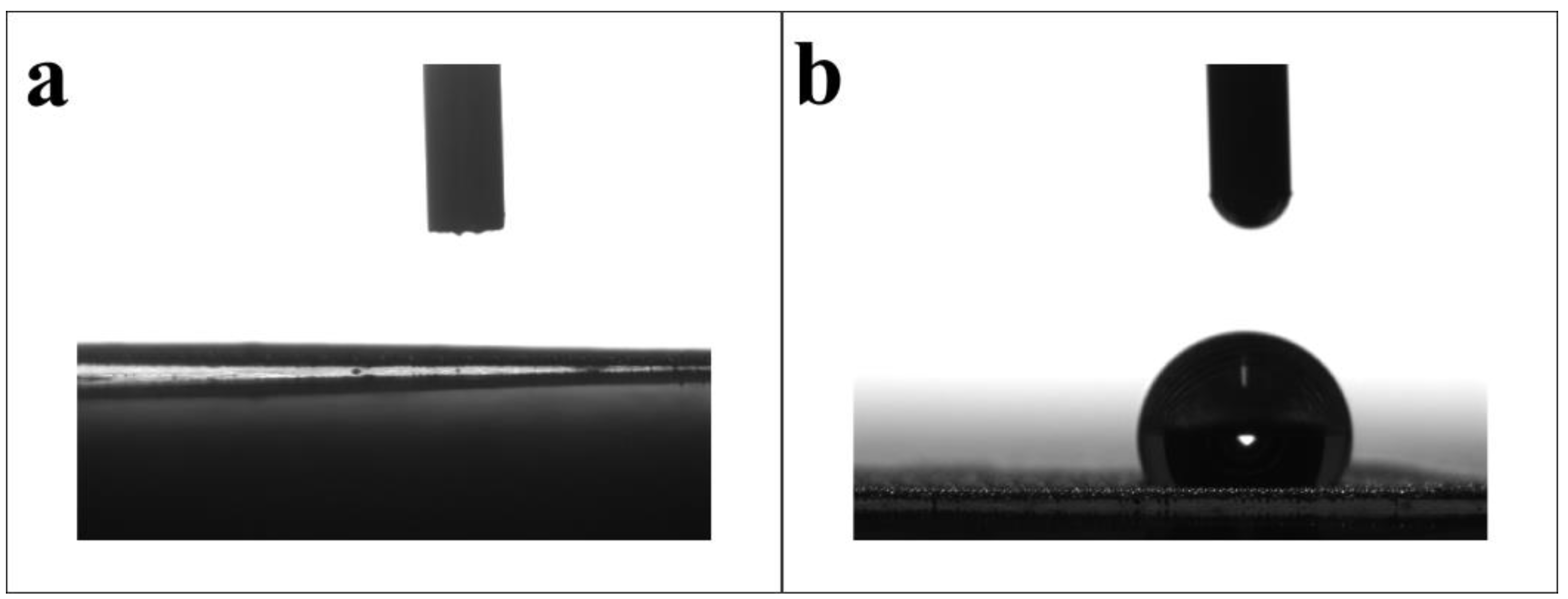 Molecules 28 07503 g004