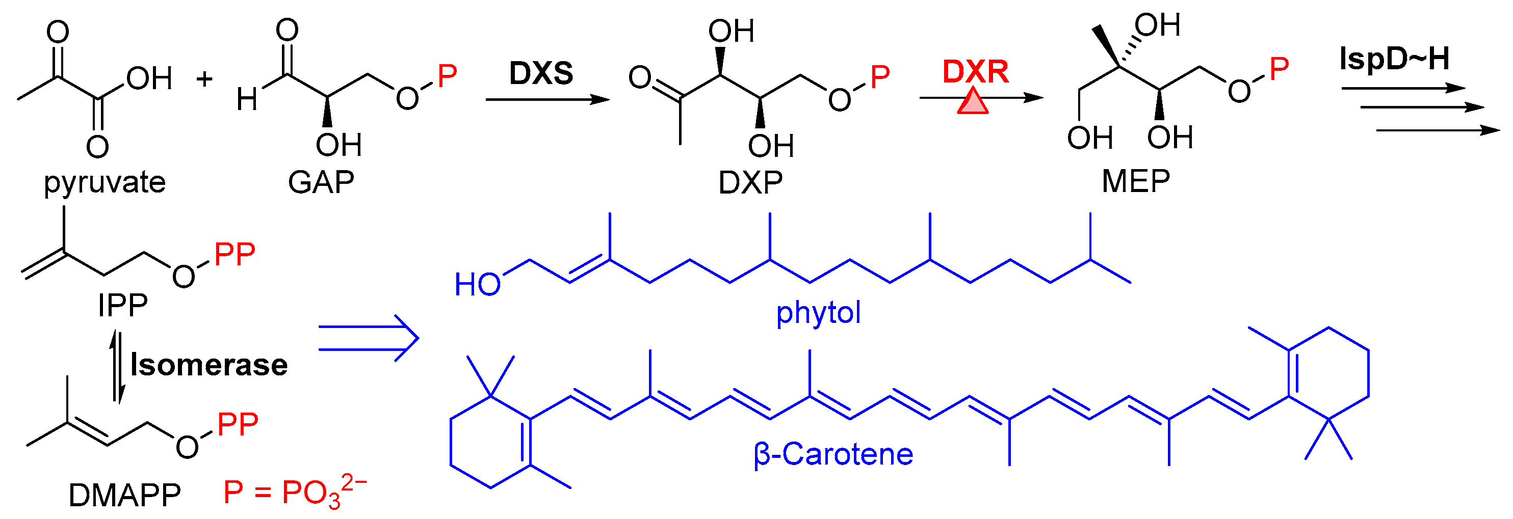 Molecules 28 07509 g001 Molecules 28 07509 g001