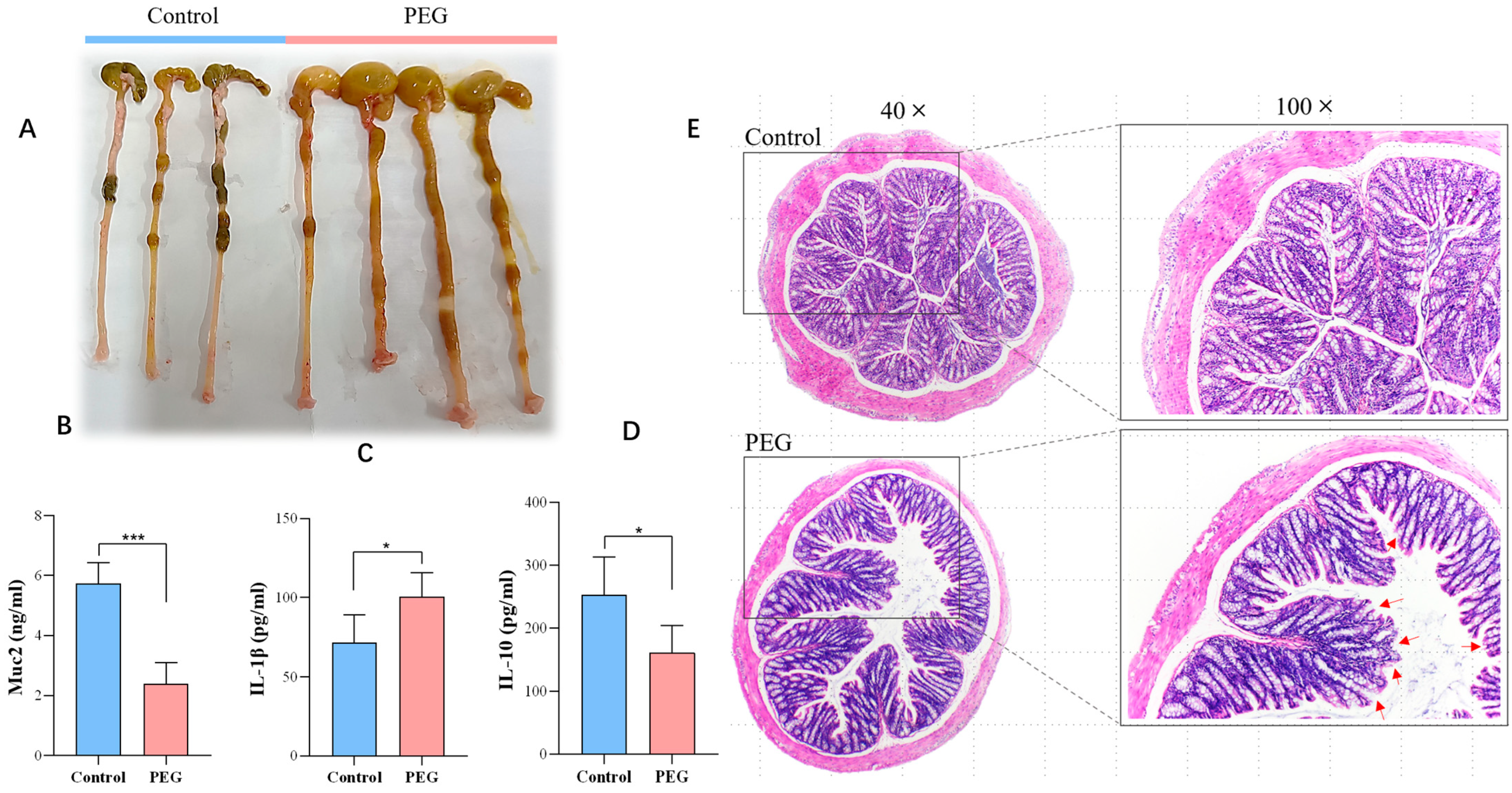 Molecules 28 07562 g002