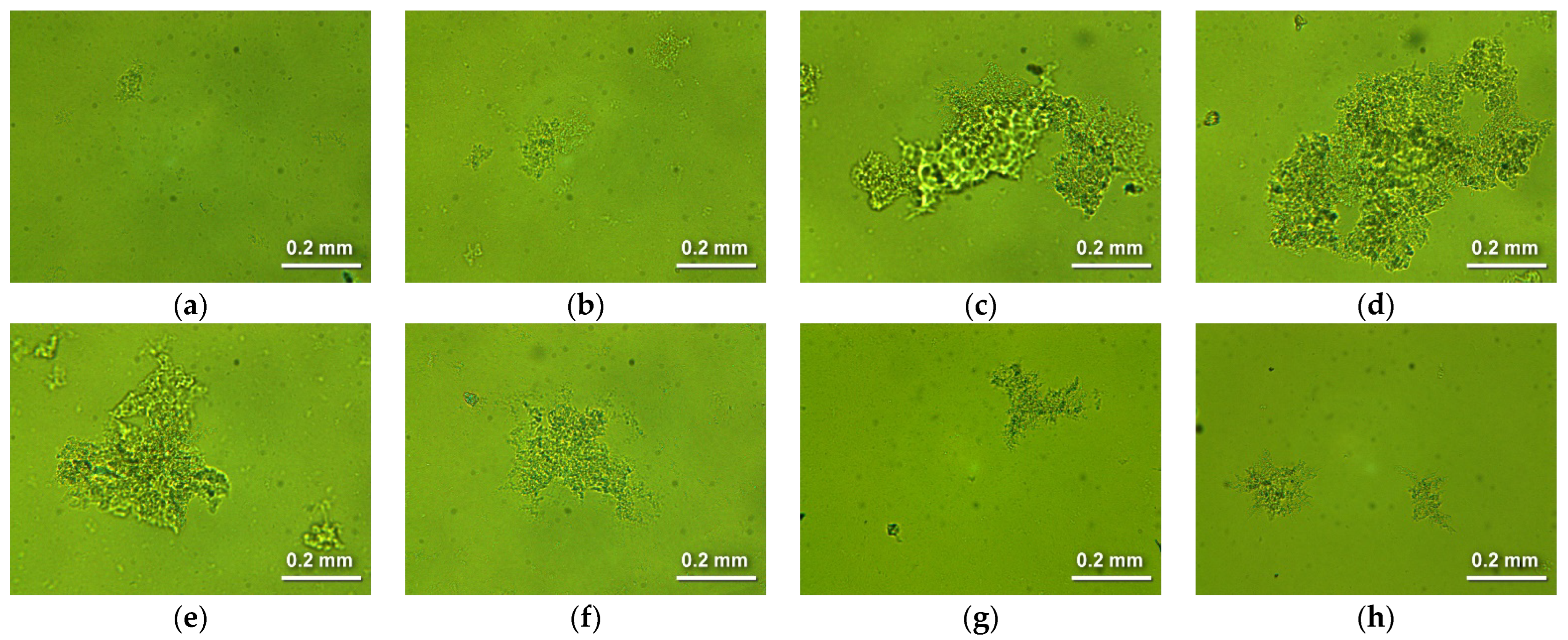 Molecules 28 07584 g004