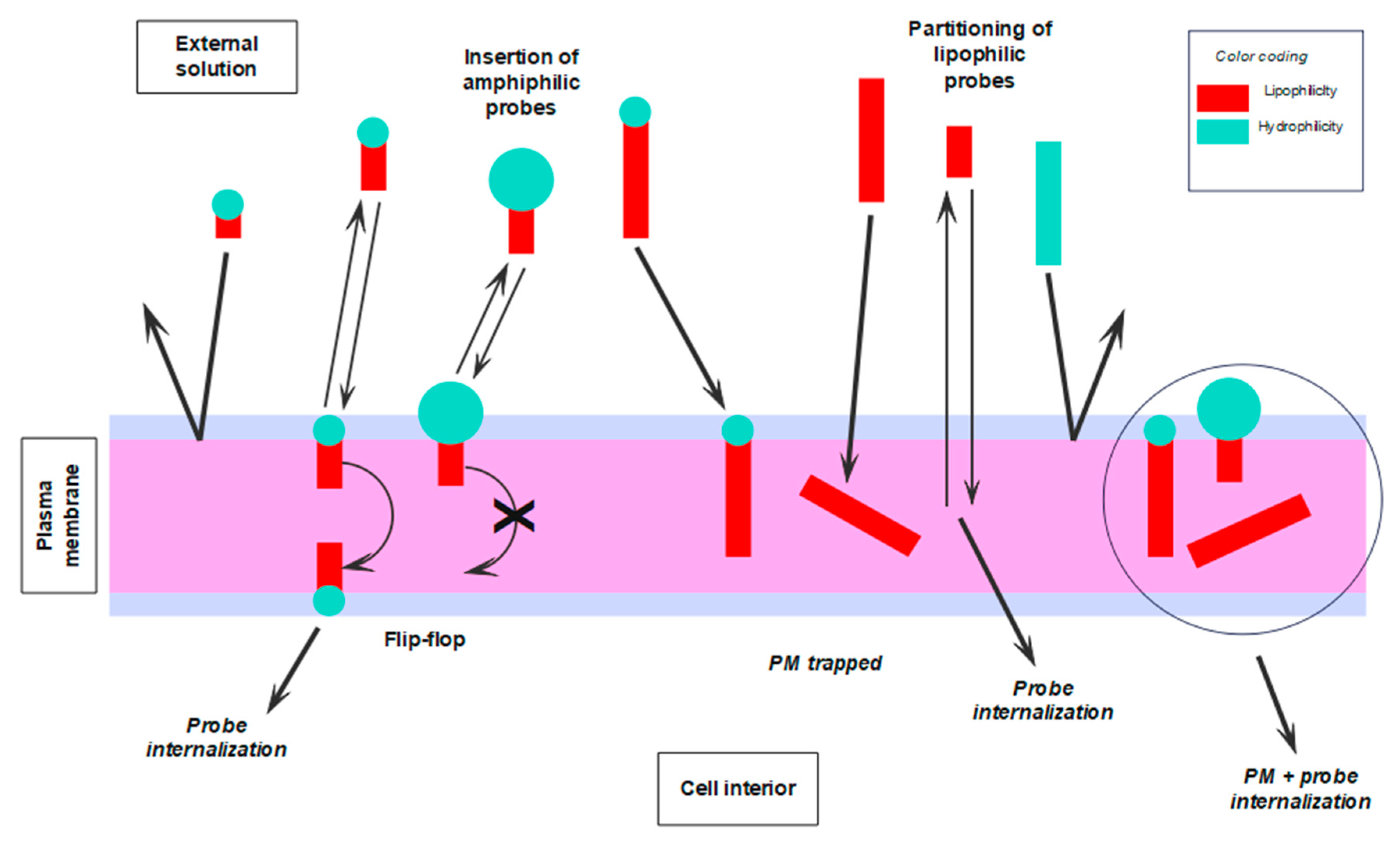 Molecules 28 07589 g005