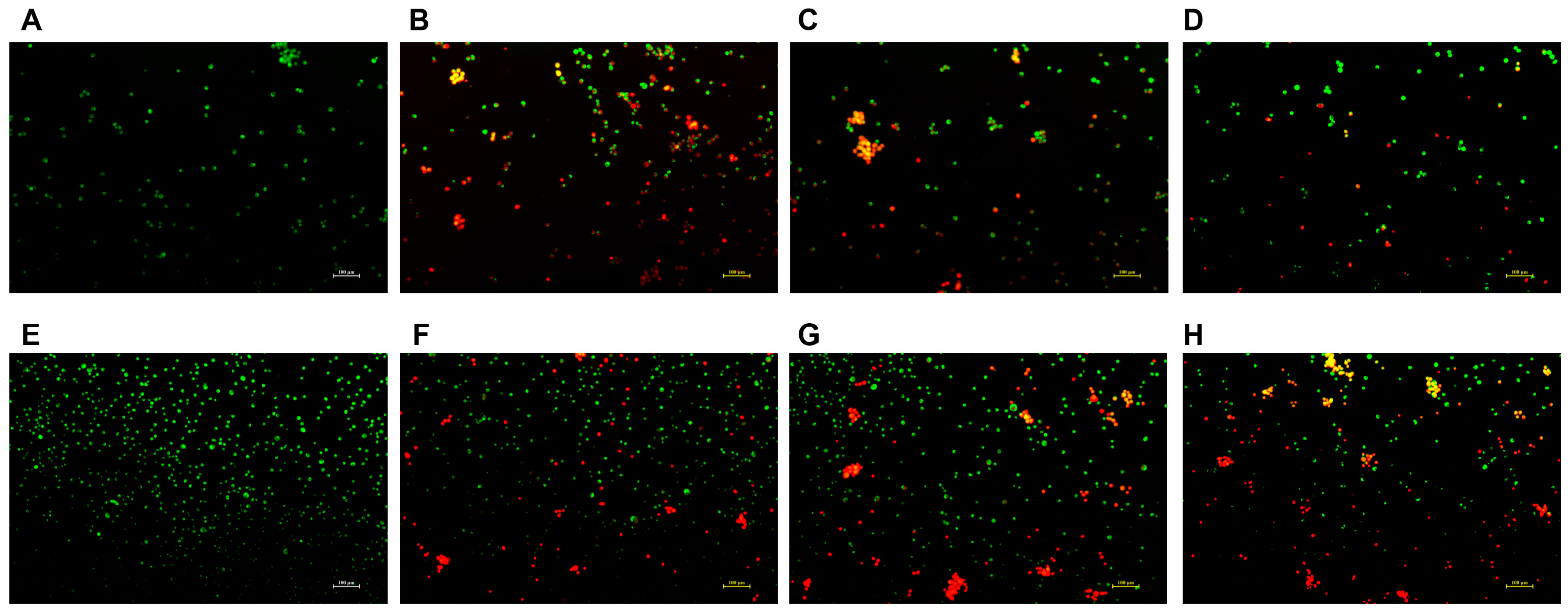 Molecules 28 07609 g007 Molecules 28 07609 g007
