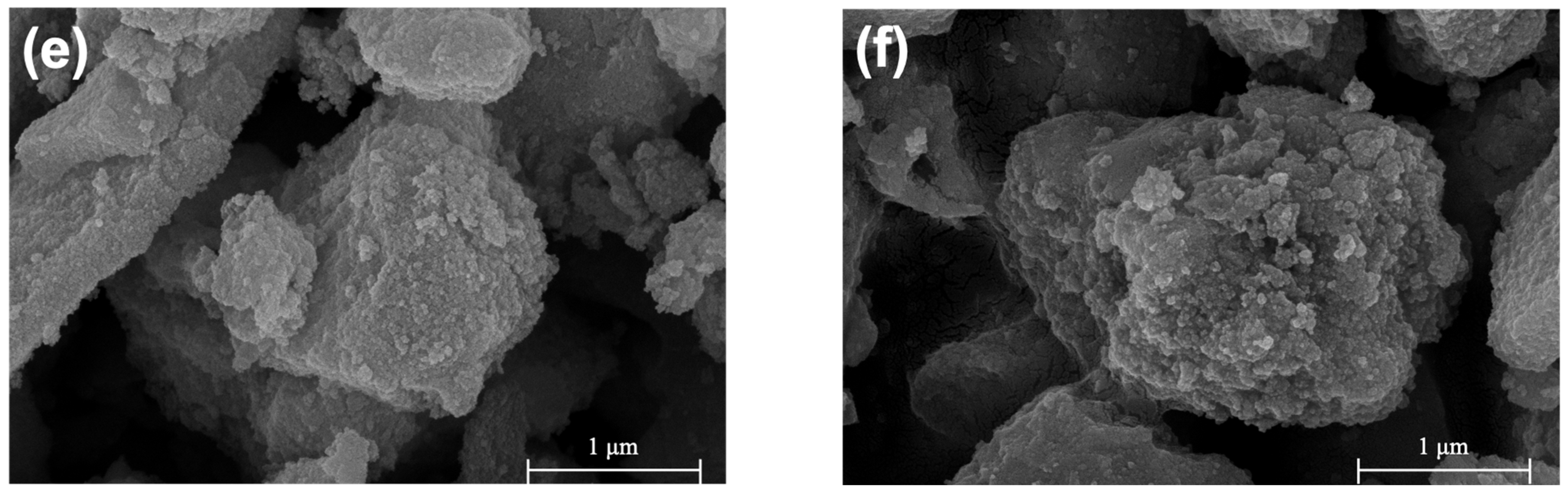 Molecules 28 07626 g002b