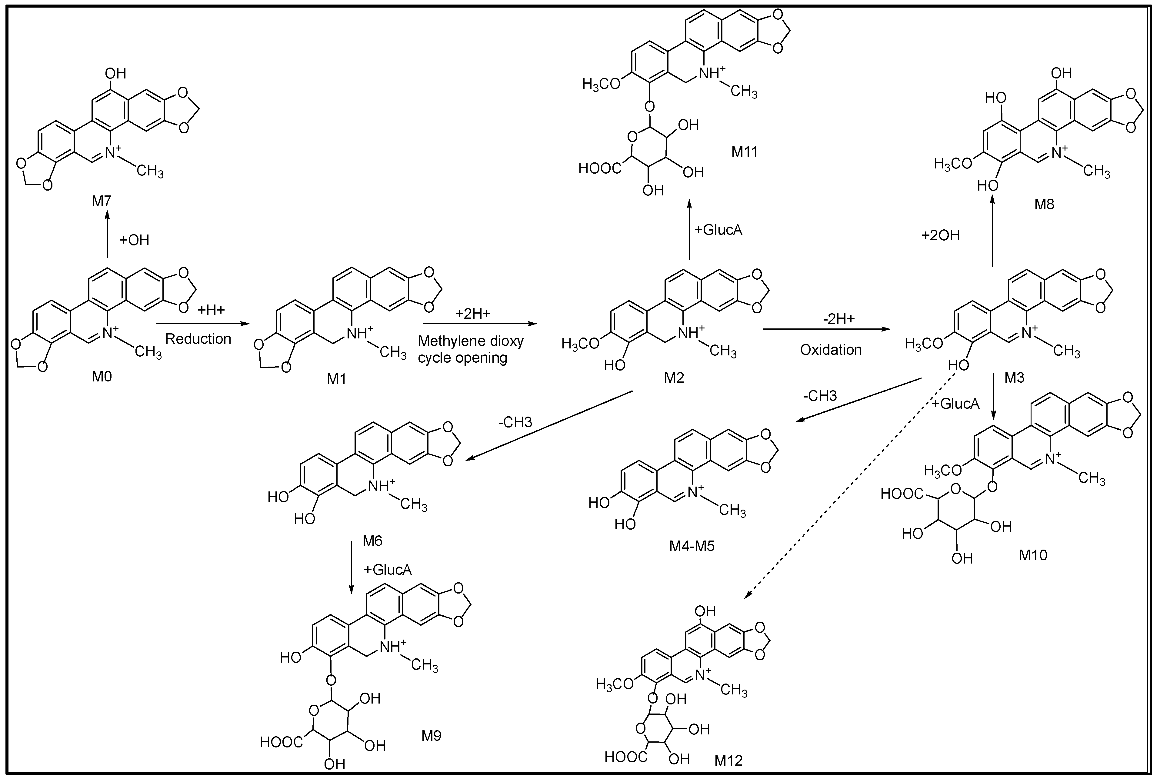 Molecules 28 07641 g005 Molecules 28 07641 g005