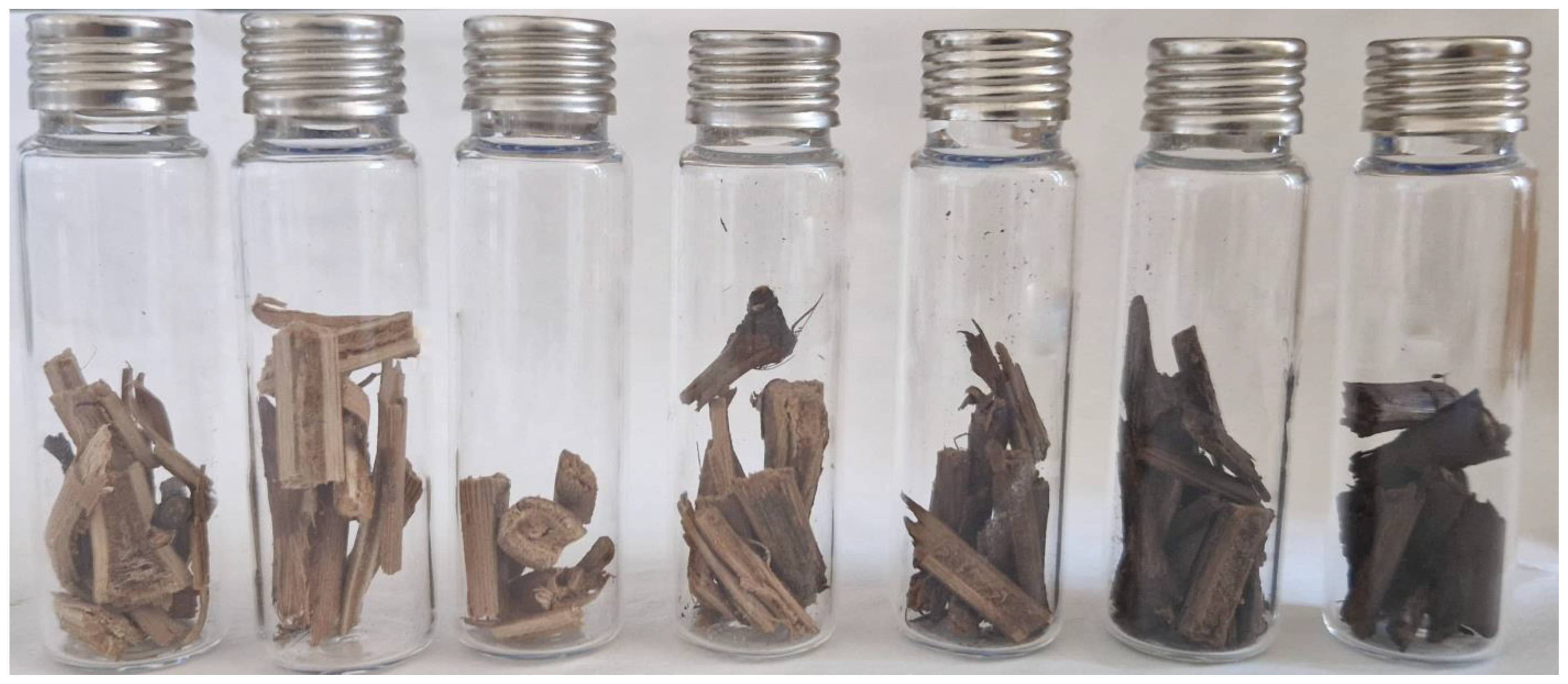 Molecules 28 07676 g001