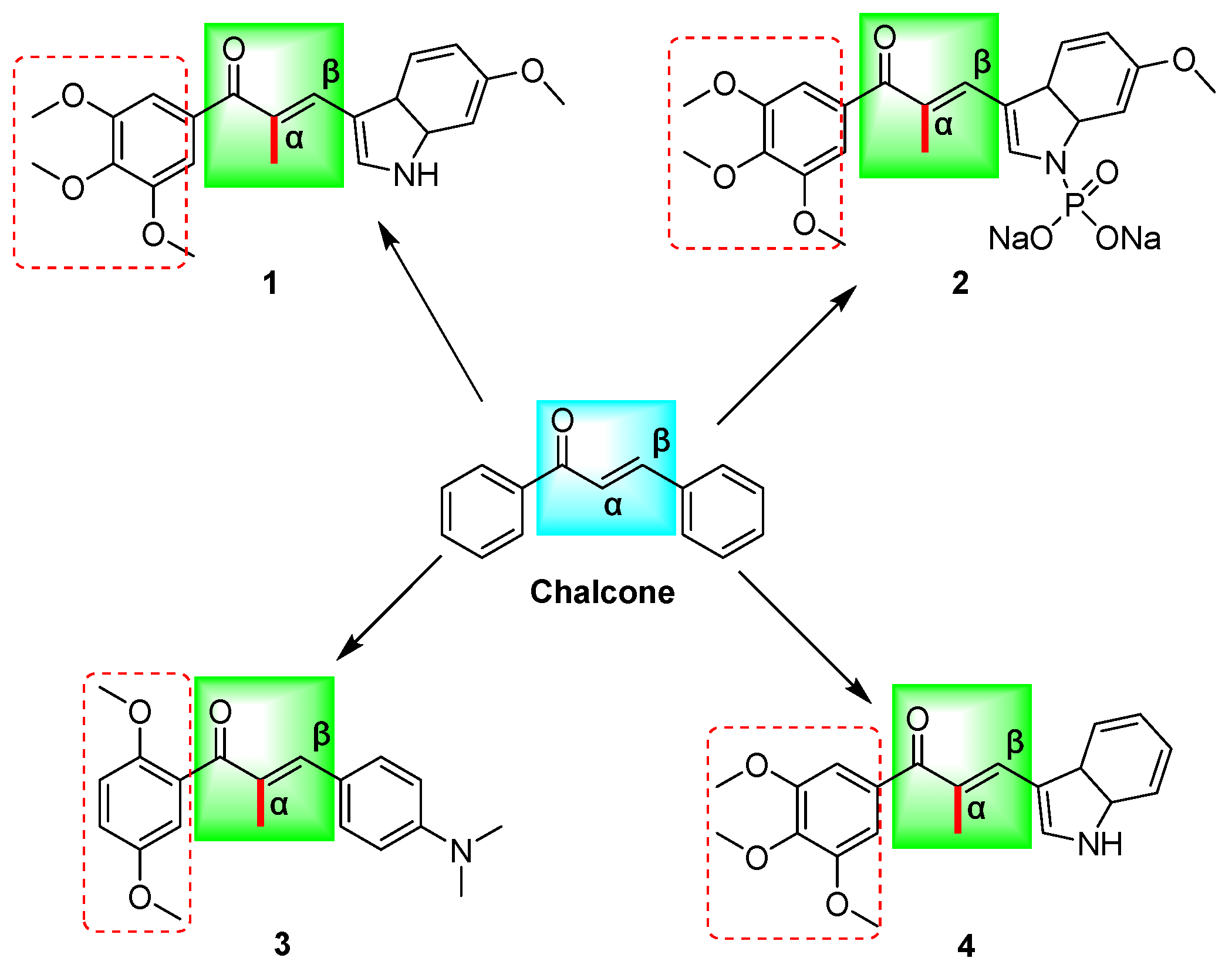 Molecules 28 07697 g001