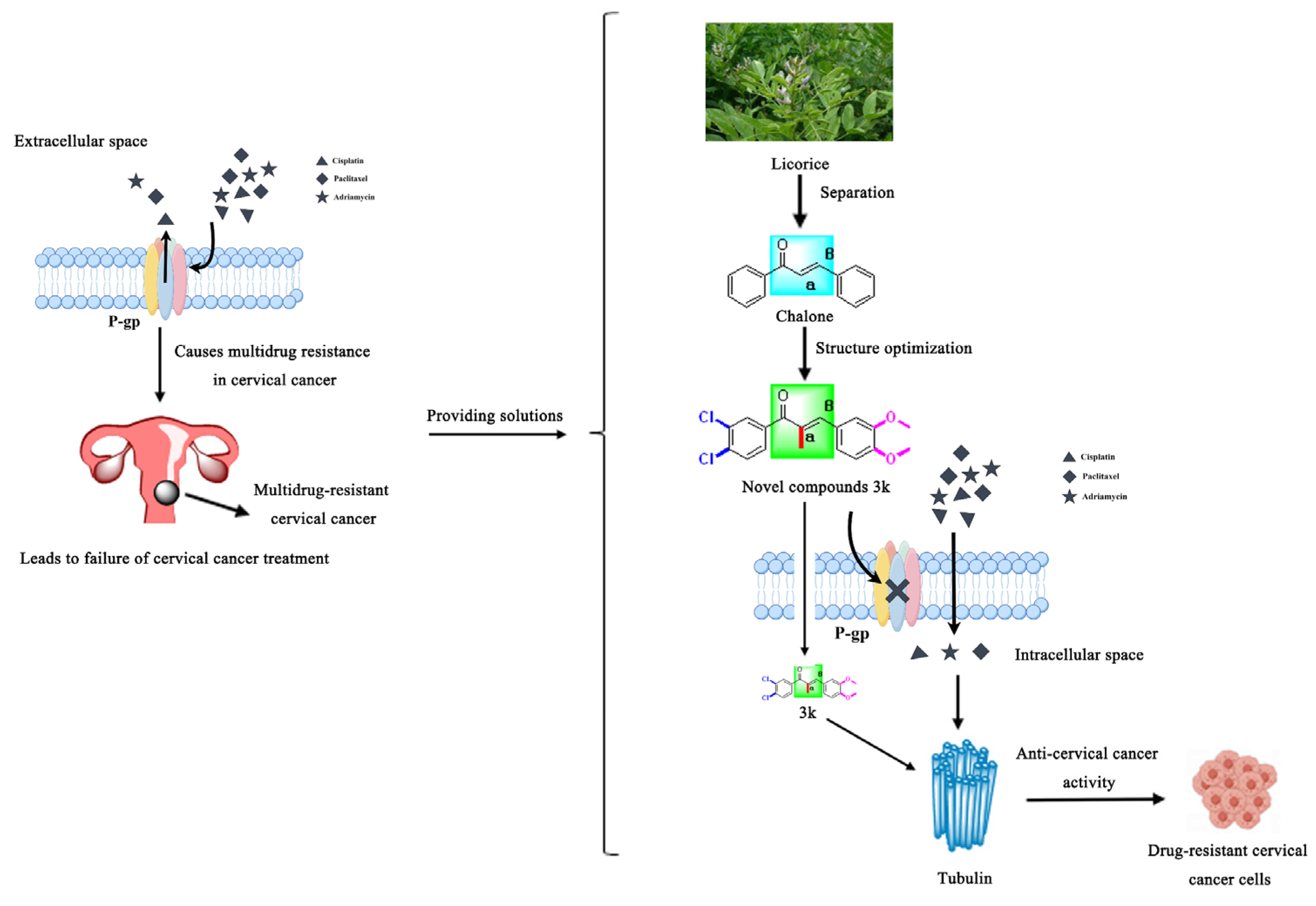 Molecules 28 07697 g002a
