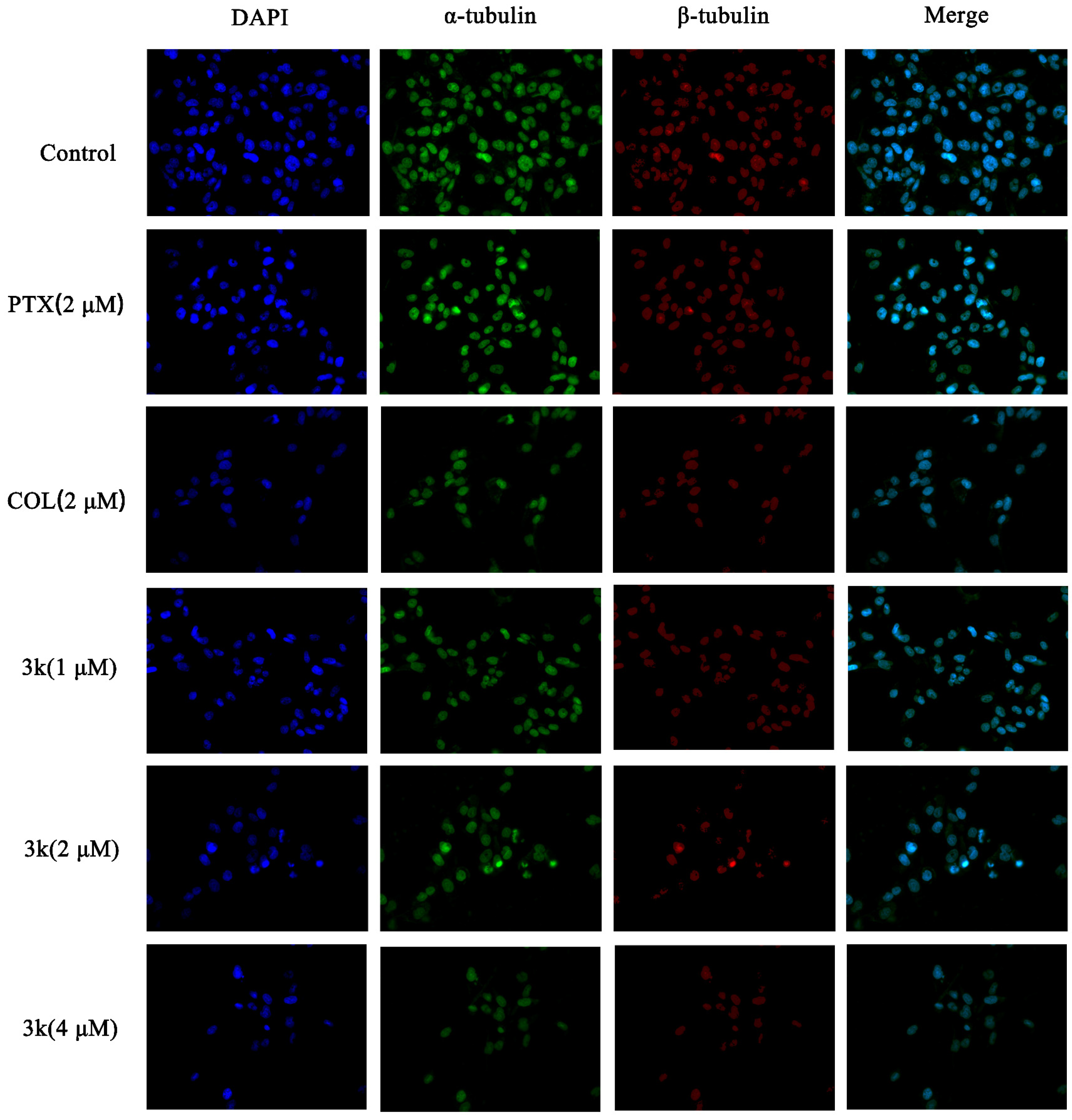 Molecules 28 07697 sch014