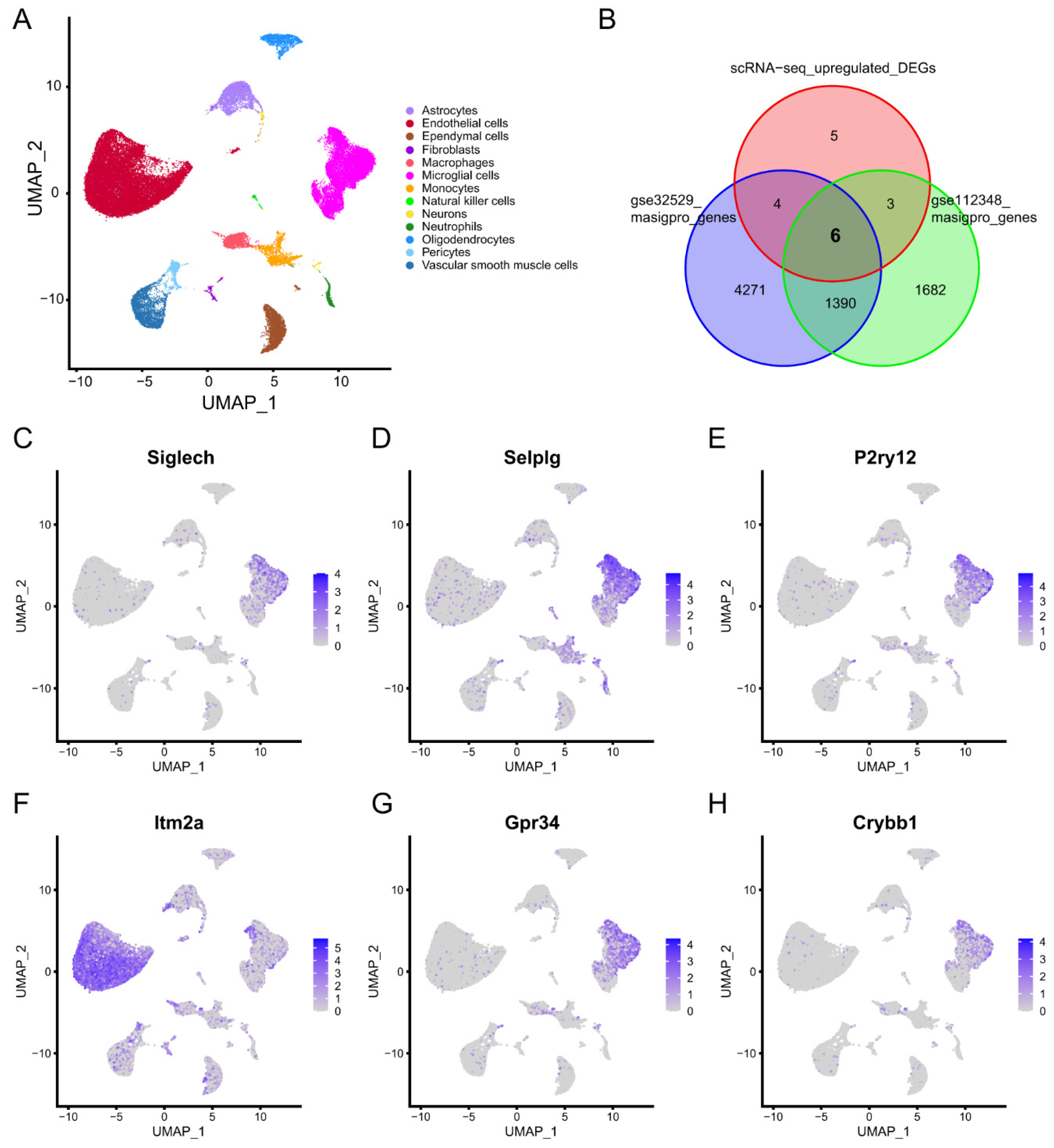 Molecules 28 07704 g005