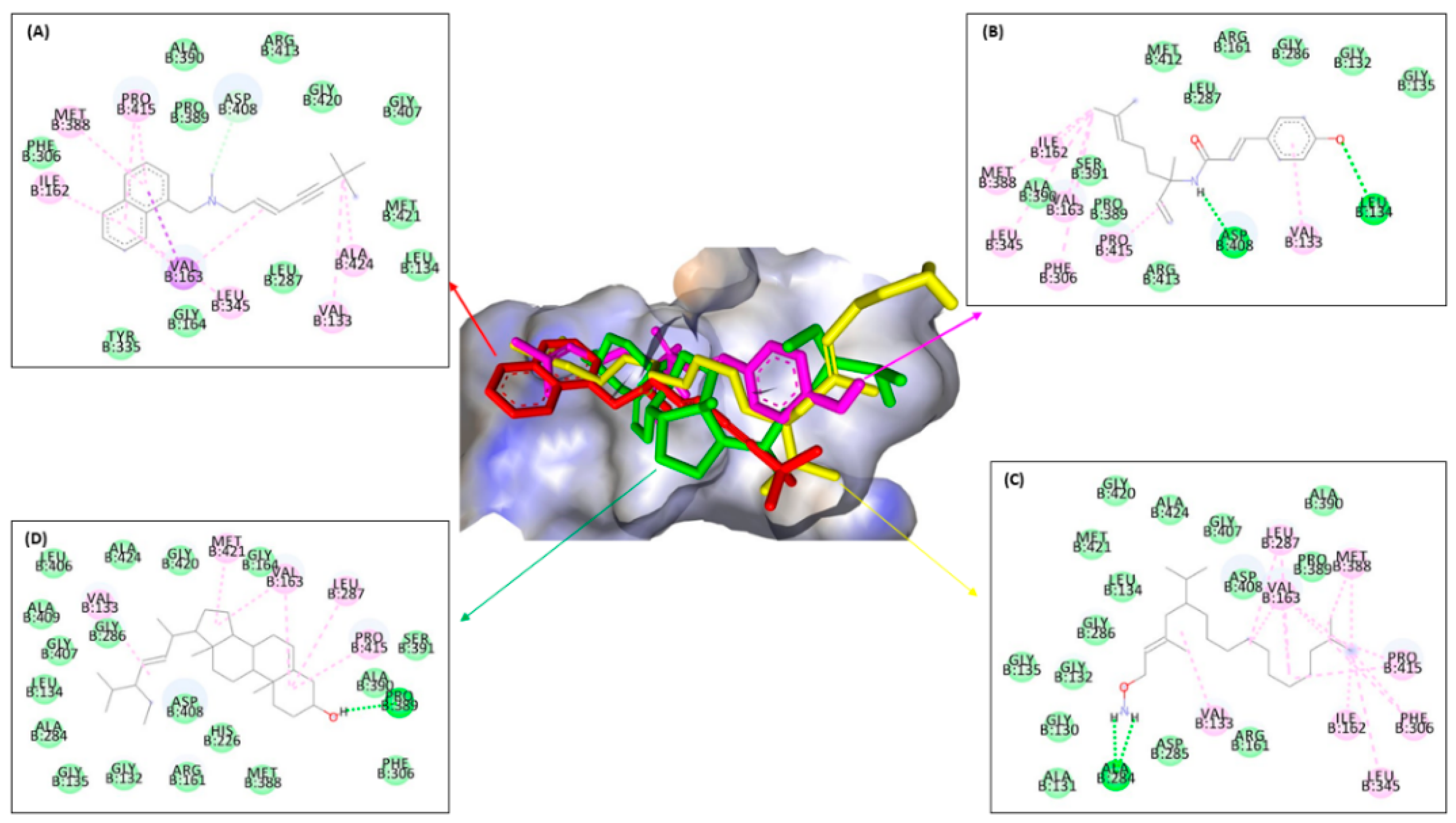 Molecules 28 07705 g006 Molecules 28 07705 g006