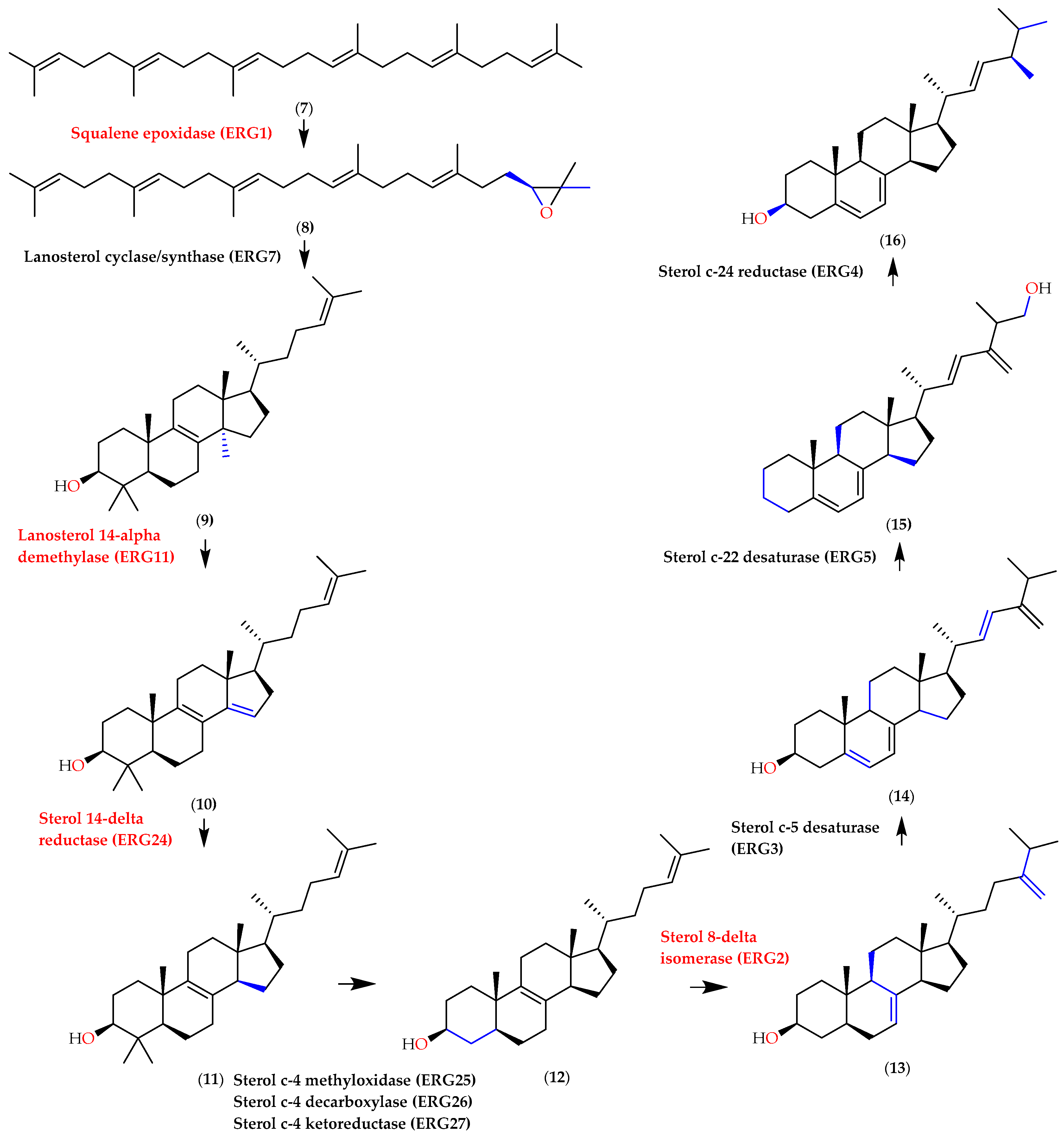 Molecules 28 07705 g010 Molecules 28 07705 g010