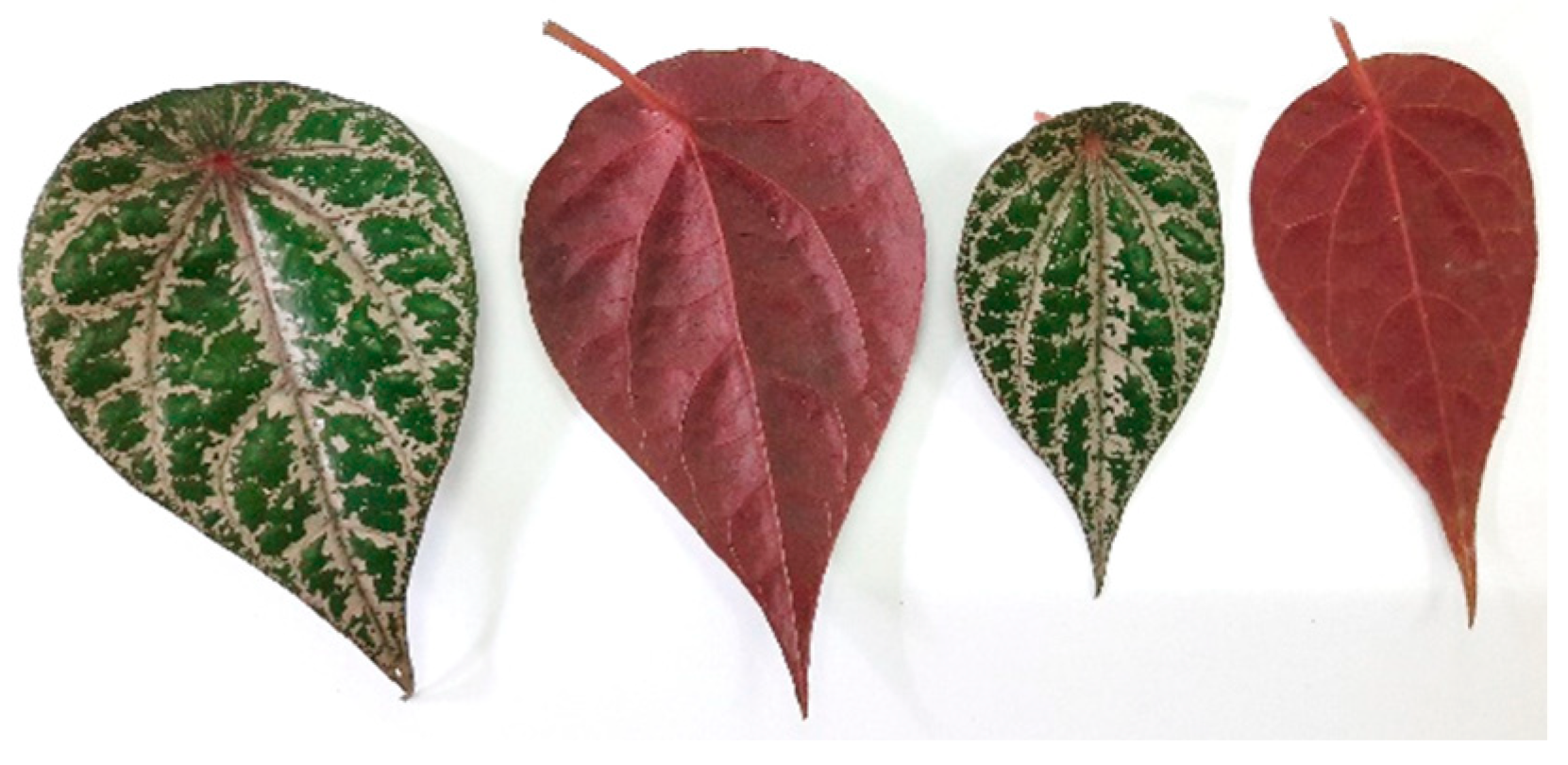 Molecules 28 07705 g011 Molecules 28 07705 g011