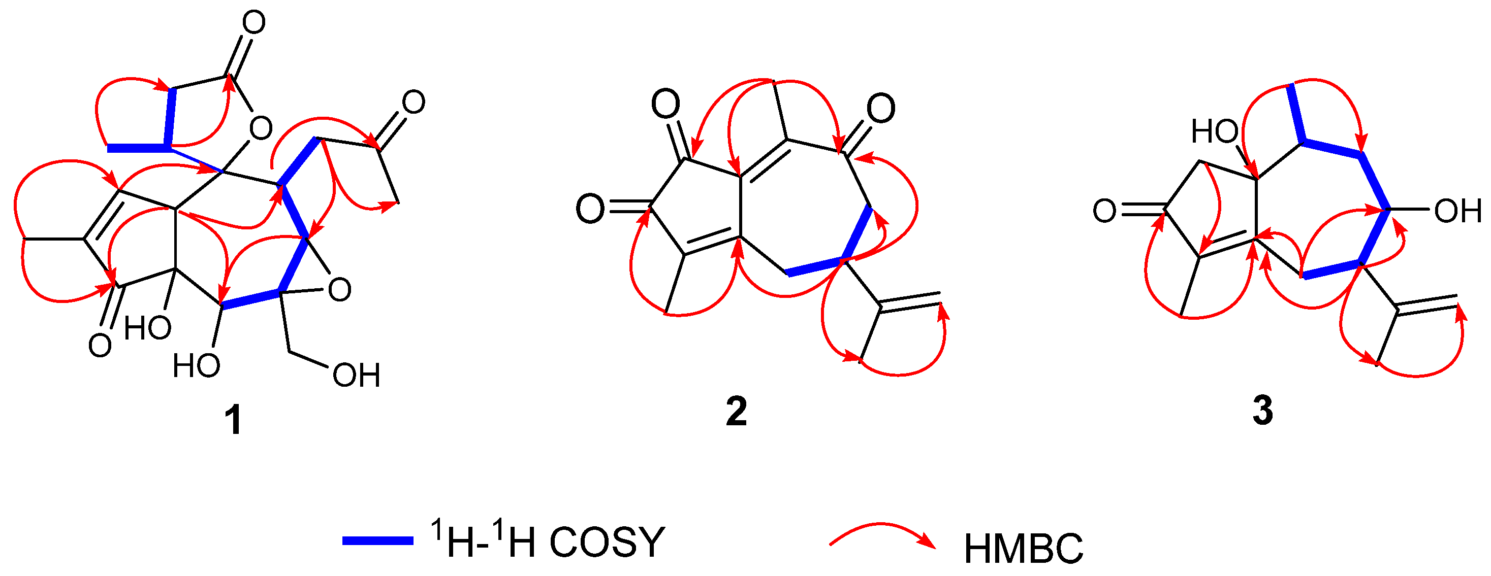 Molecules 28 07726 g002