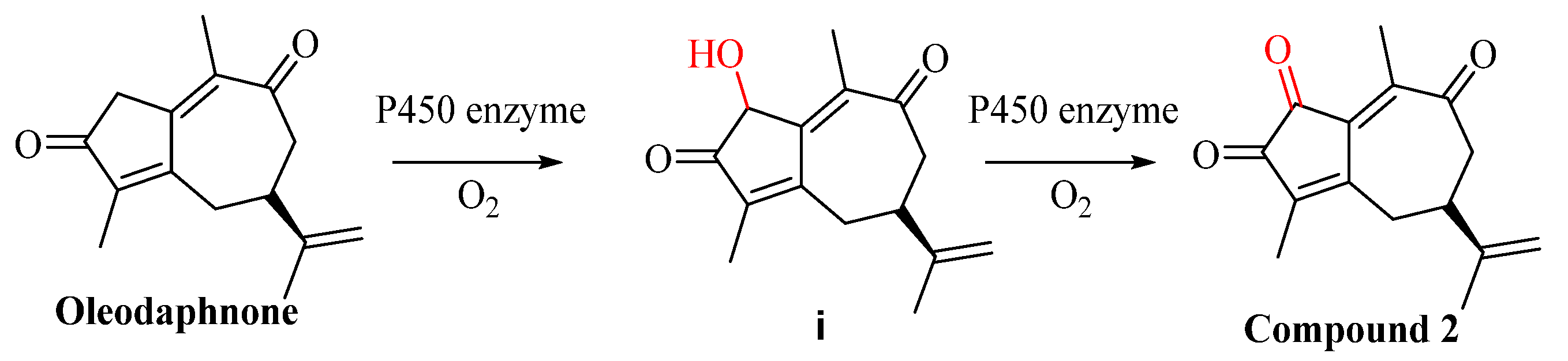 Molecules 28 07726 sch002