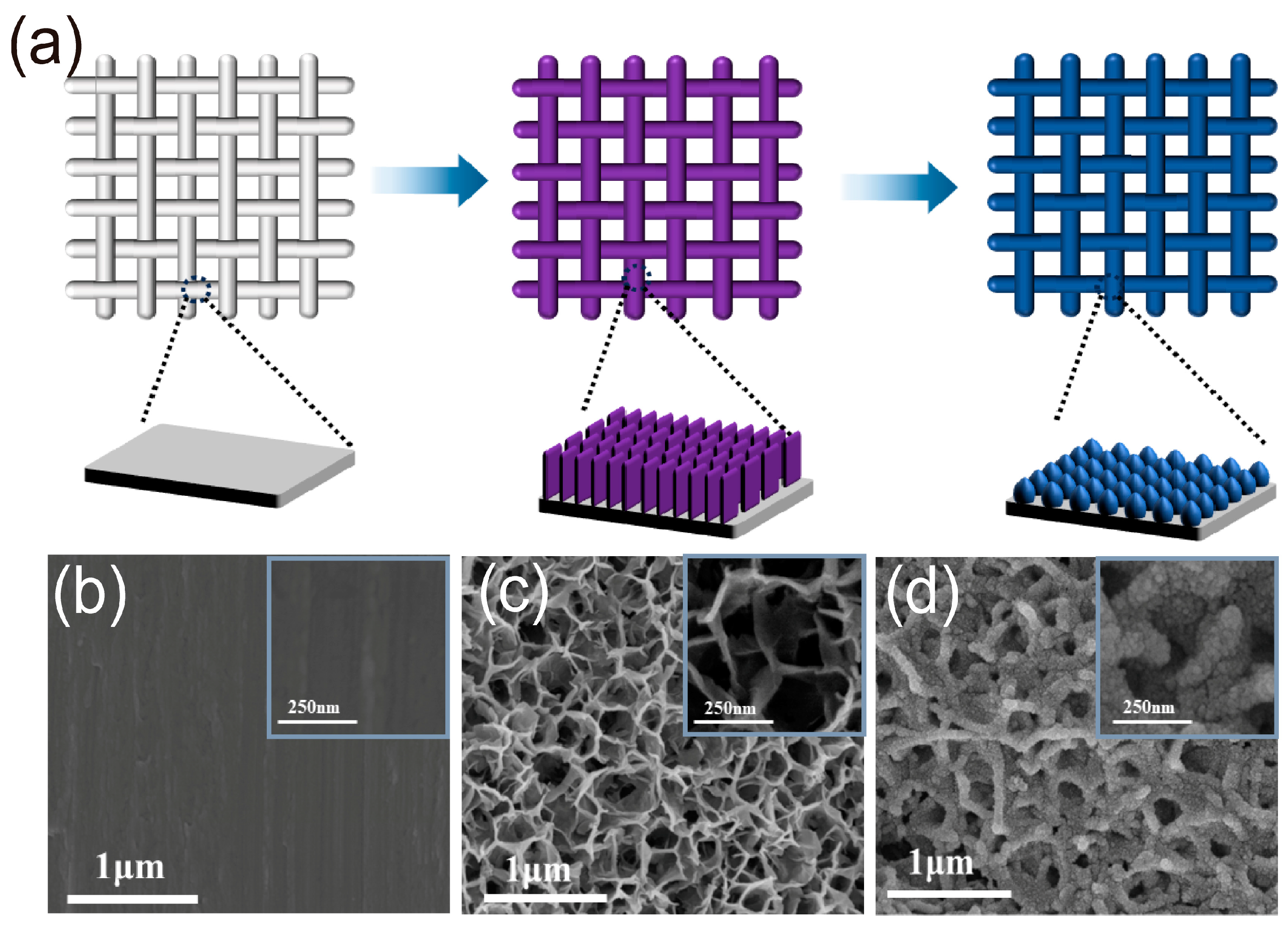 Molecules 28 07727 g001