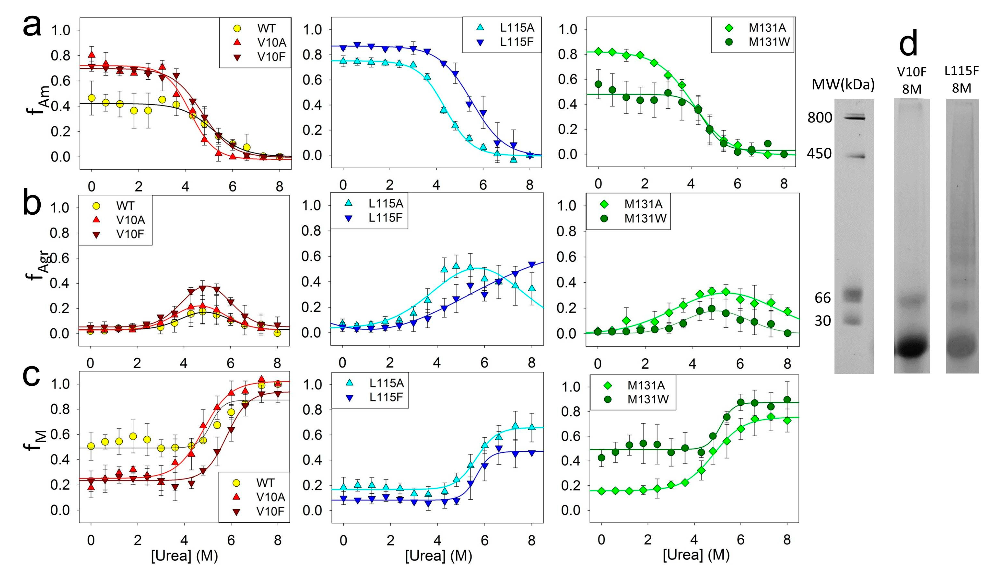 Molecules 28 07736 g006 Molecules 28 07736 g006