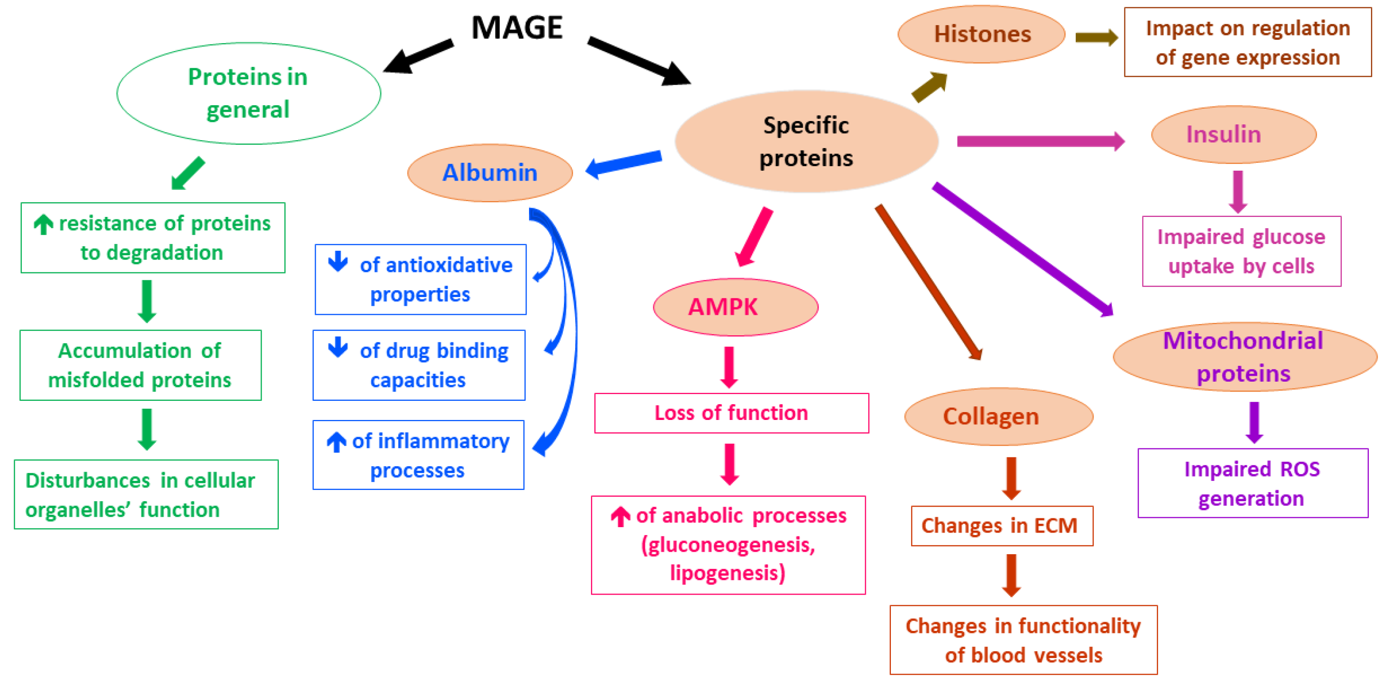 Molecules 28 07742 g001 Molecules 28 07742 g001