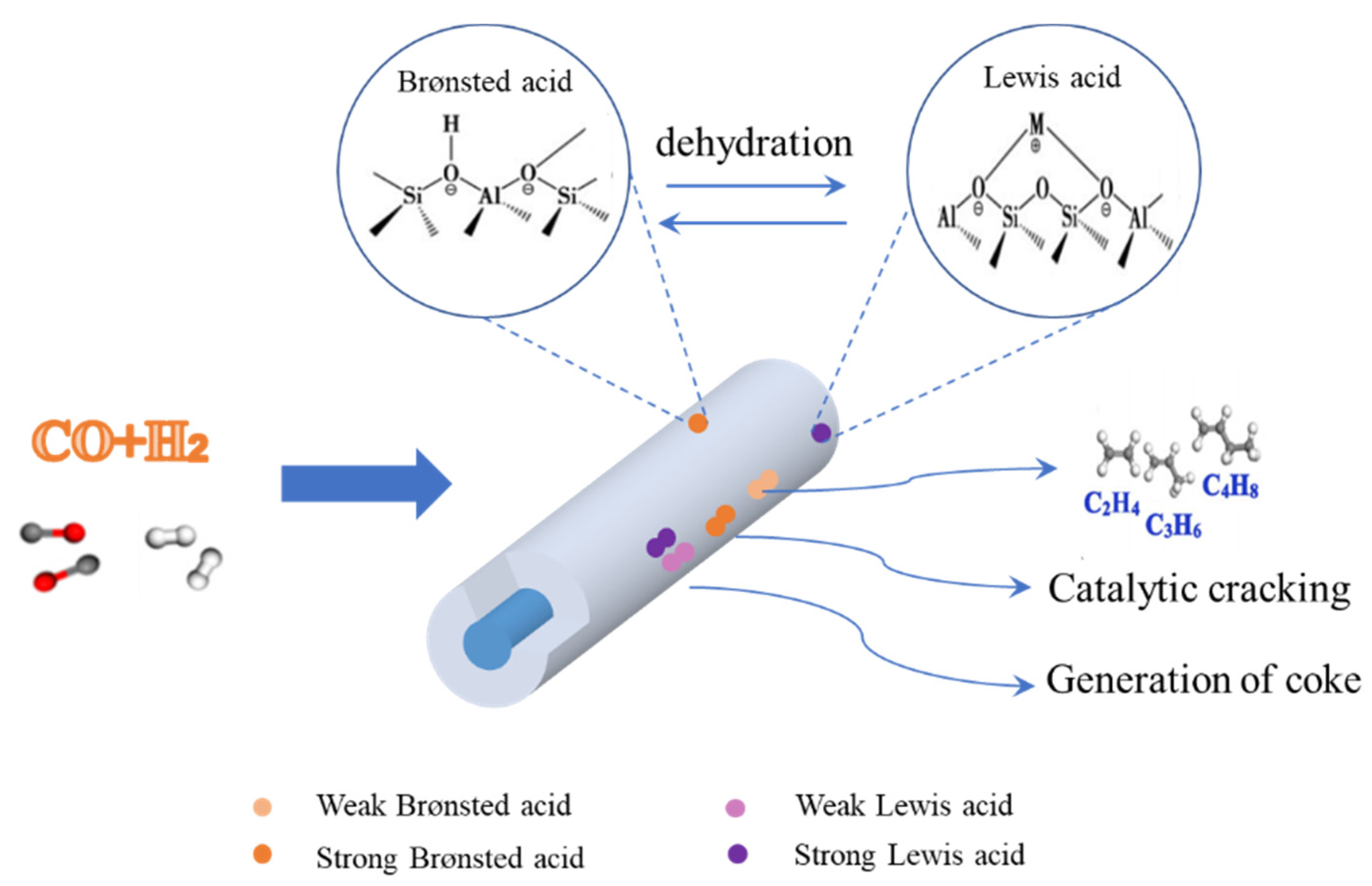 Molecules Free Full Text Research Progress on the Effects of