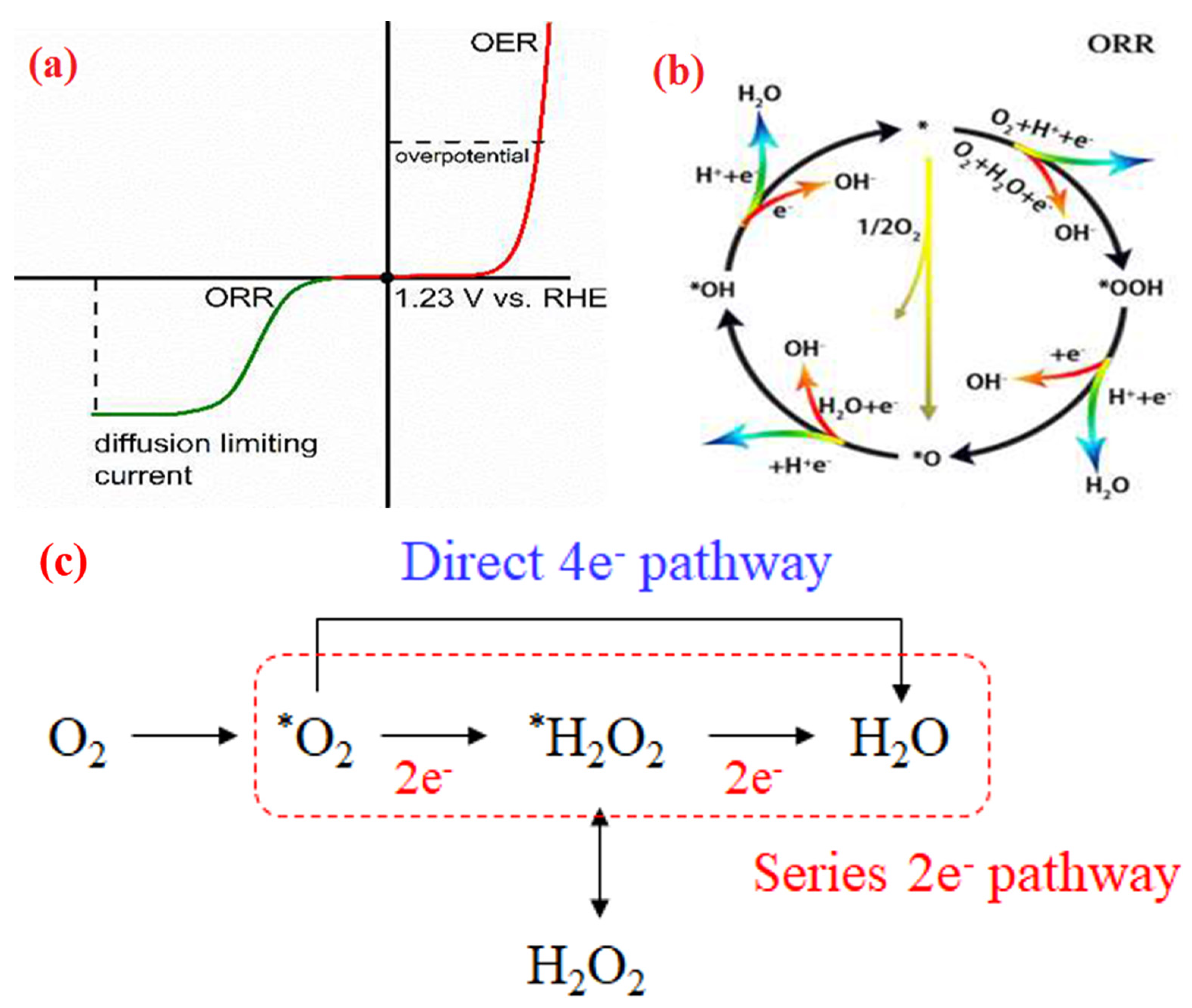 Molecules 28 07751 g001