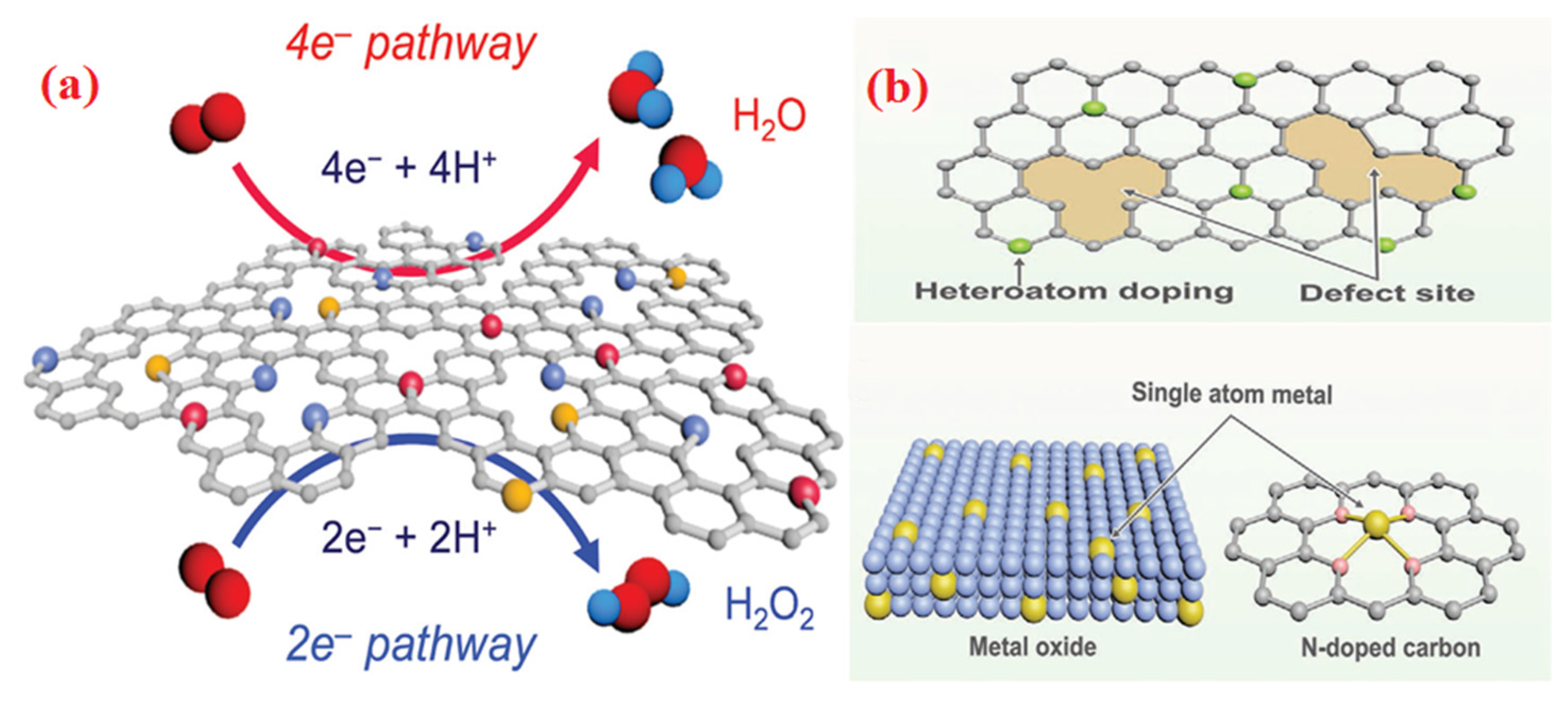 Molecules 28 07751 g003