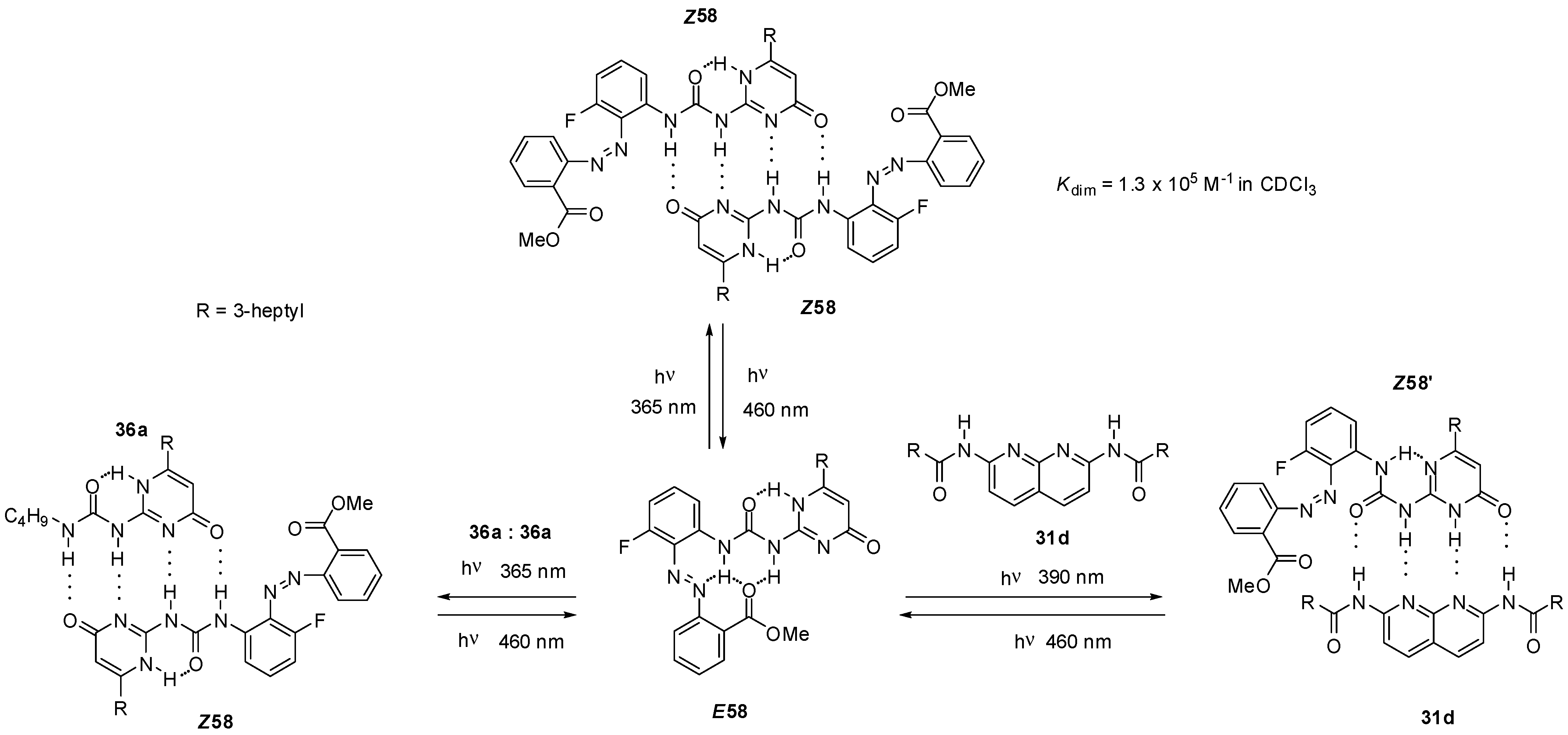 Molecules 28 07757 sch013 Molecules 28 07757 sch013