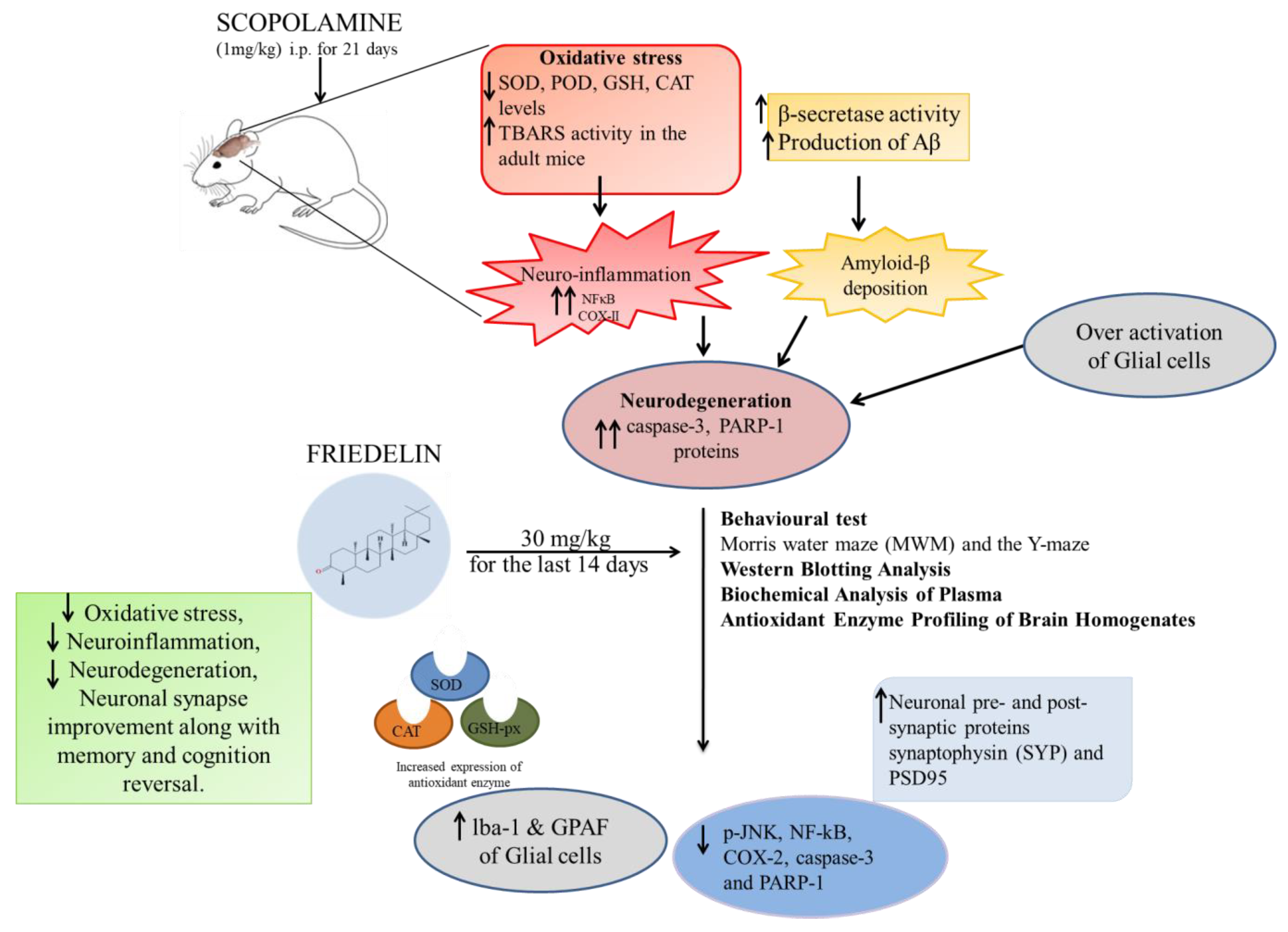 Molecules 28 07760 g008