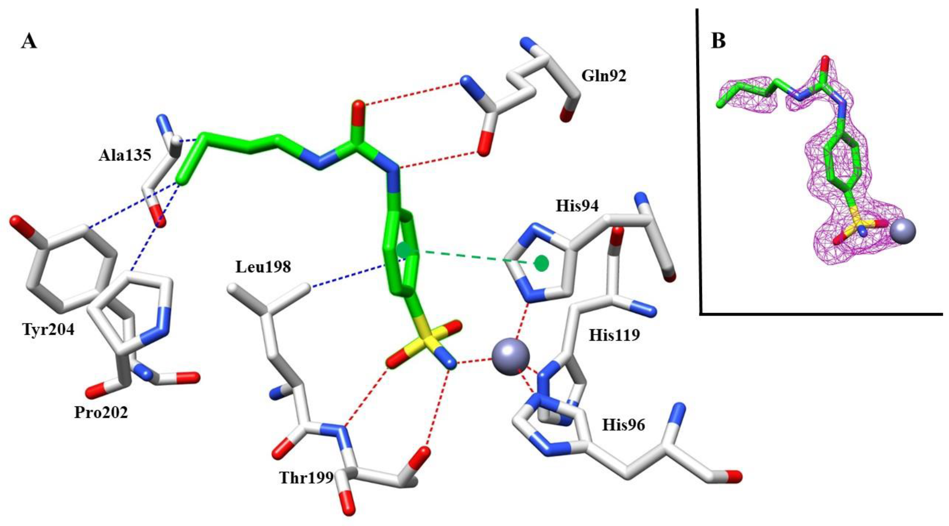 Molecules 28 07782 g007
